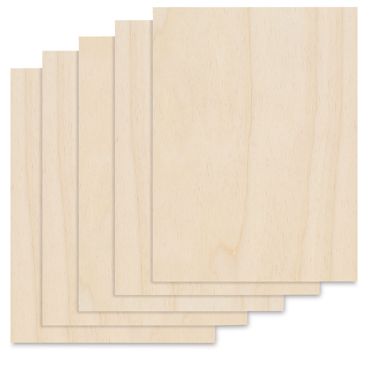 Birch Panel Pack - 9" x 12" x 1/8", Pkg of 5