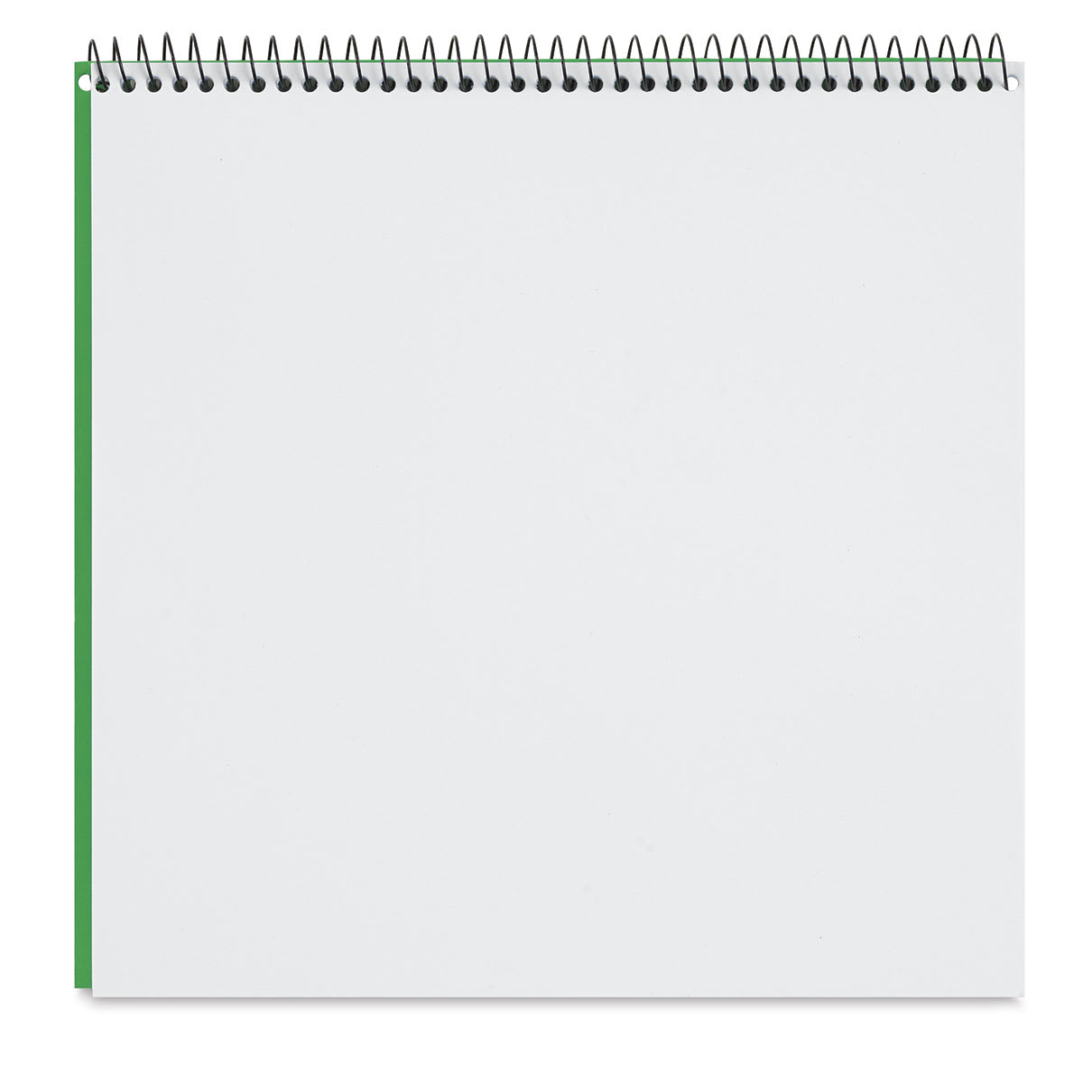 Roaring Spring Kid's Sketch Book (Inside of Book)