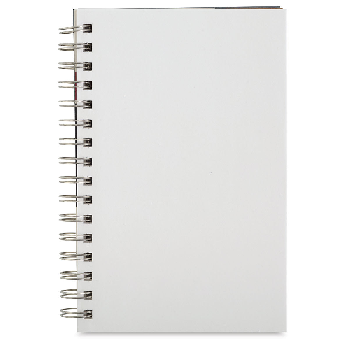 Strathmore Metallic Sketch Journals