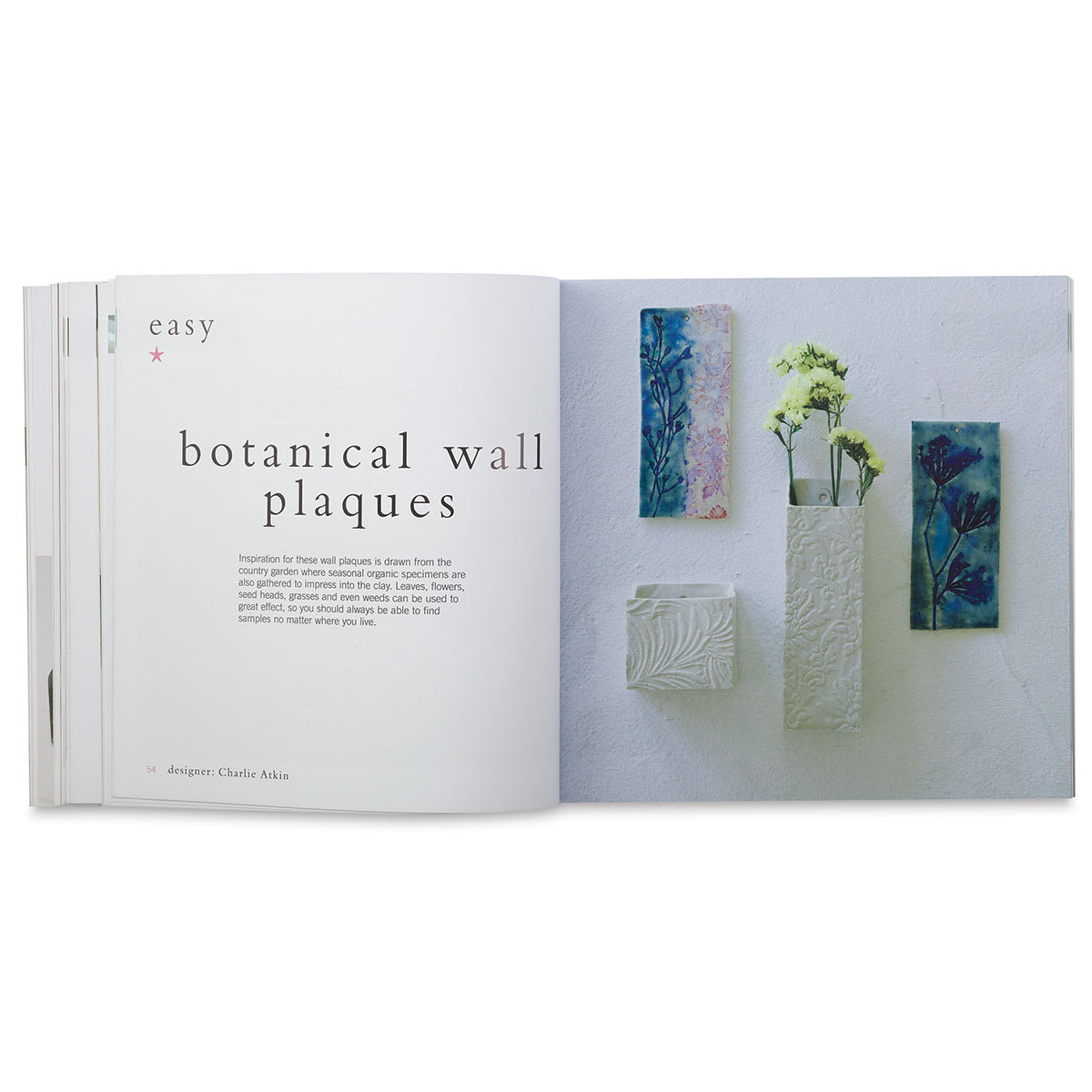 How to Work with Ceramics - Spread starting chapter on Botanical Wall Plaques