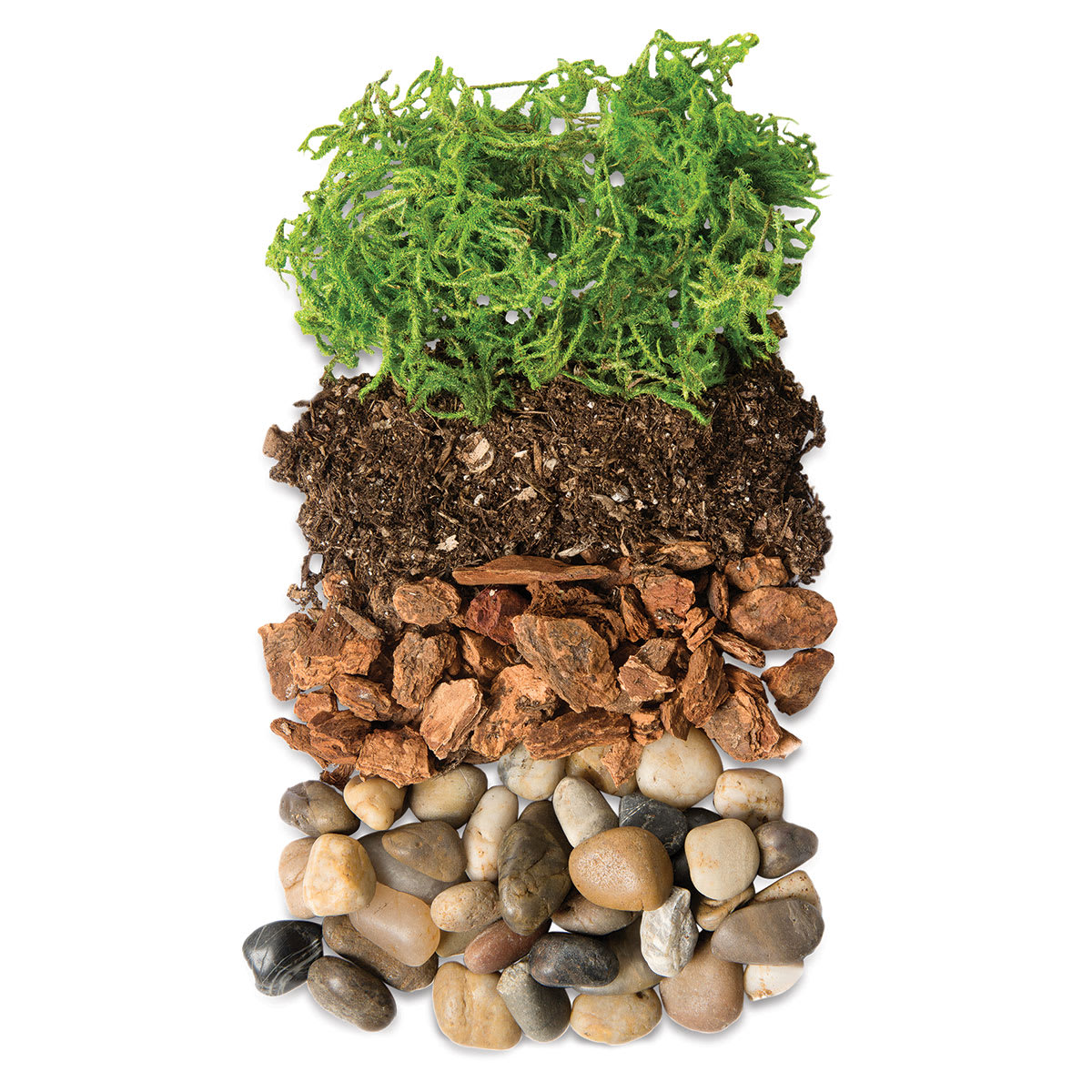 DIY Terrarium Jar Kits - Components of Newport Terrarium laid out in rows