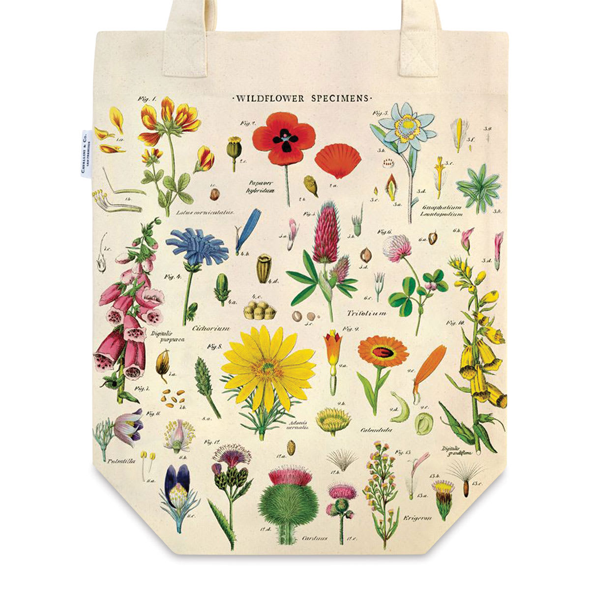 Cavallini Wildflowers Tote Bag, Close-up