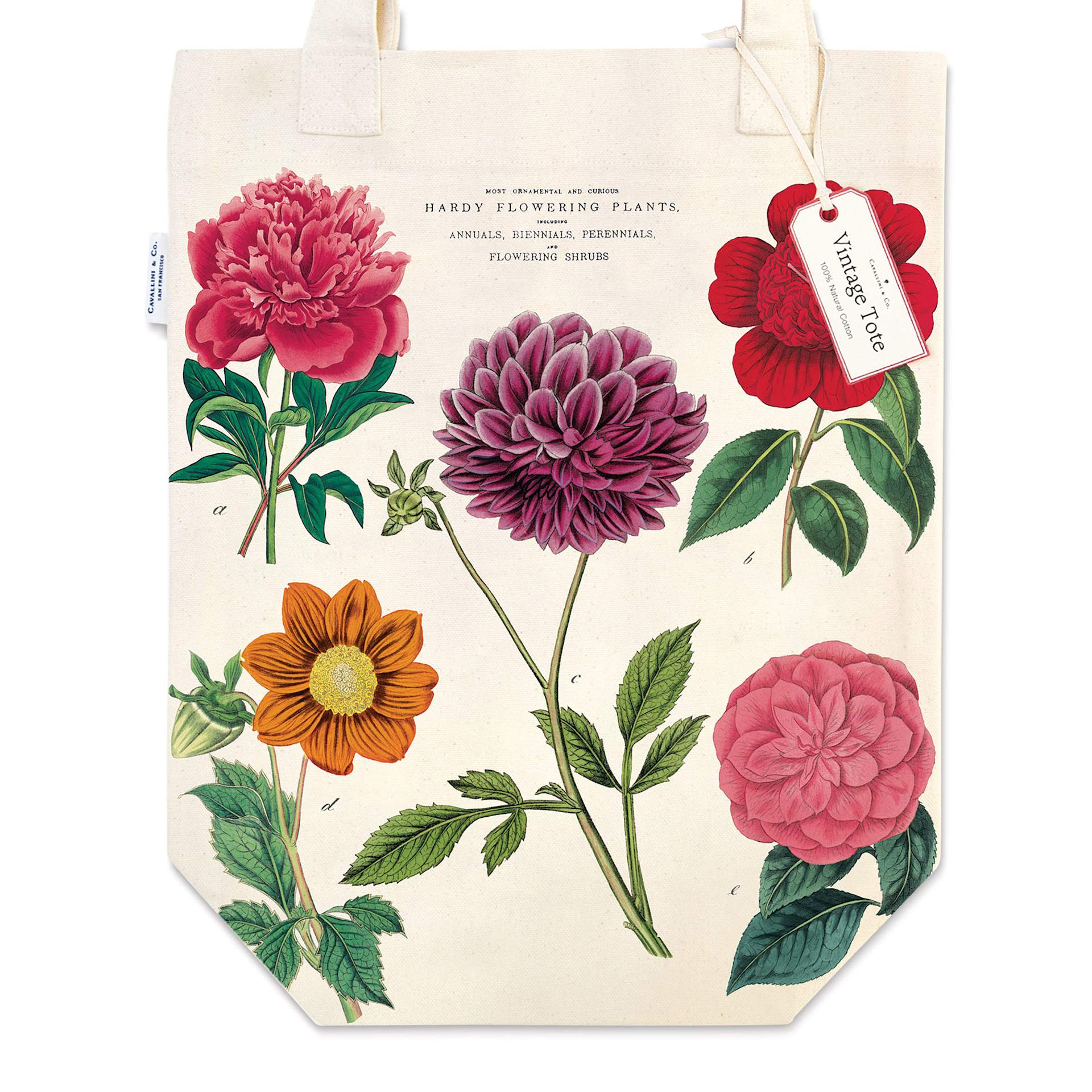 Cavallini Botanica Tote Bag (Close-up)