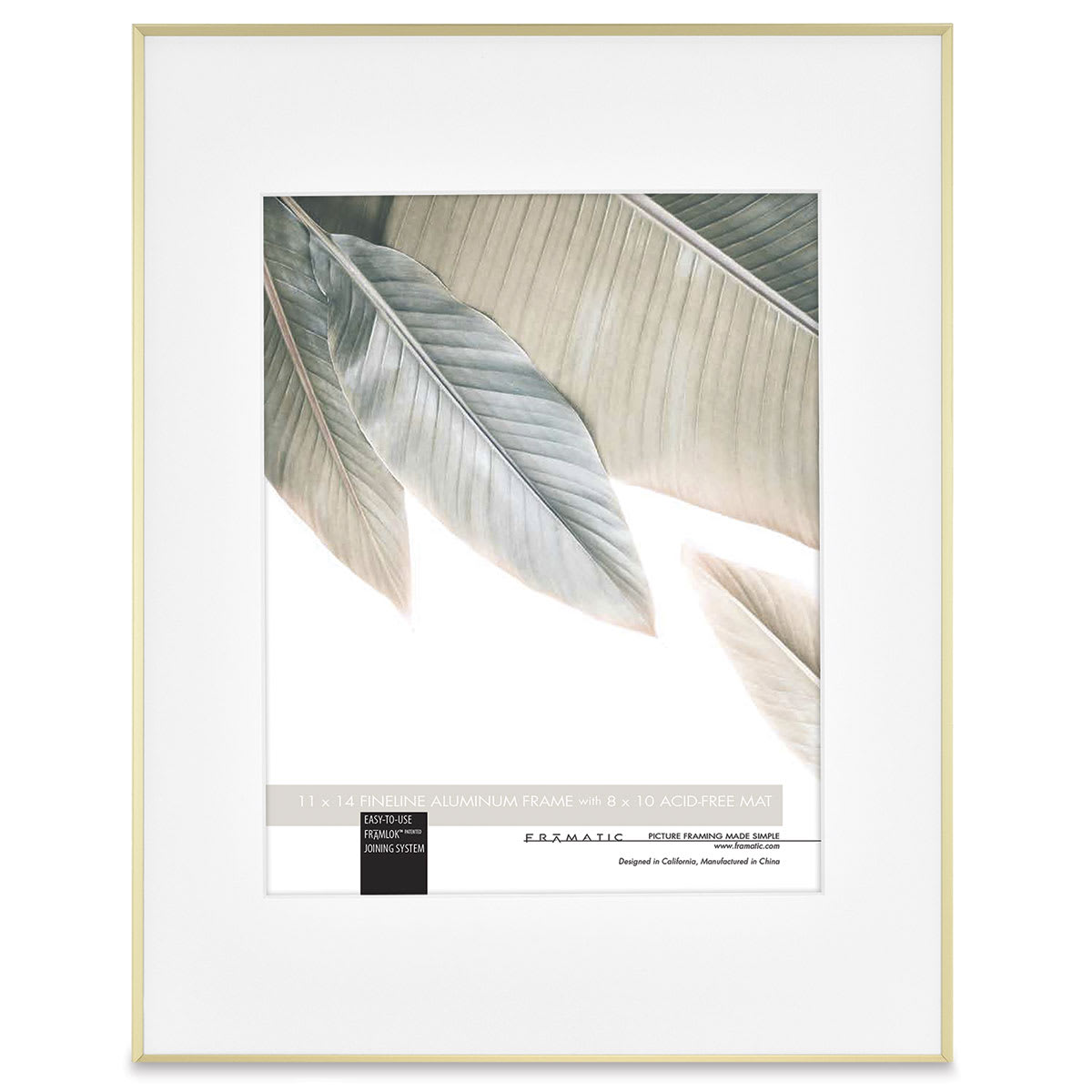 MCS Framatic Fineline II Frames - Front of Gold frame with Mat