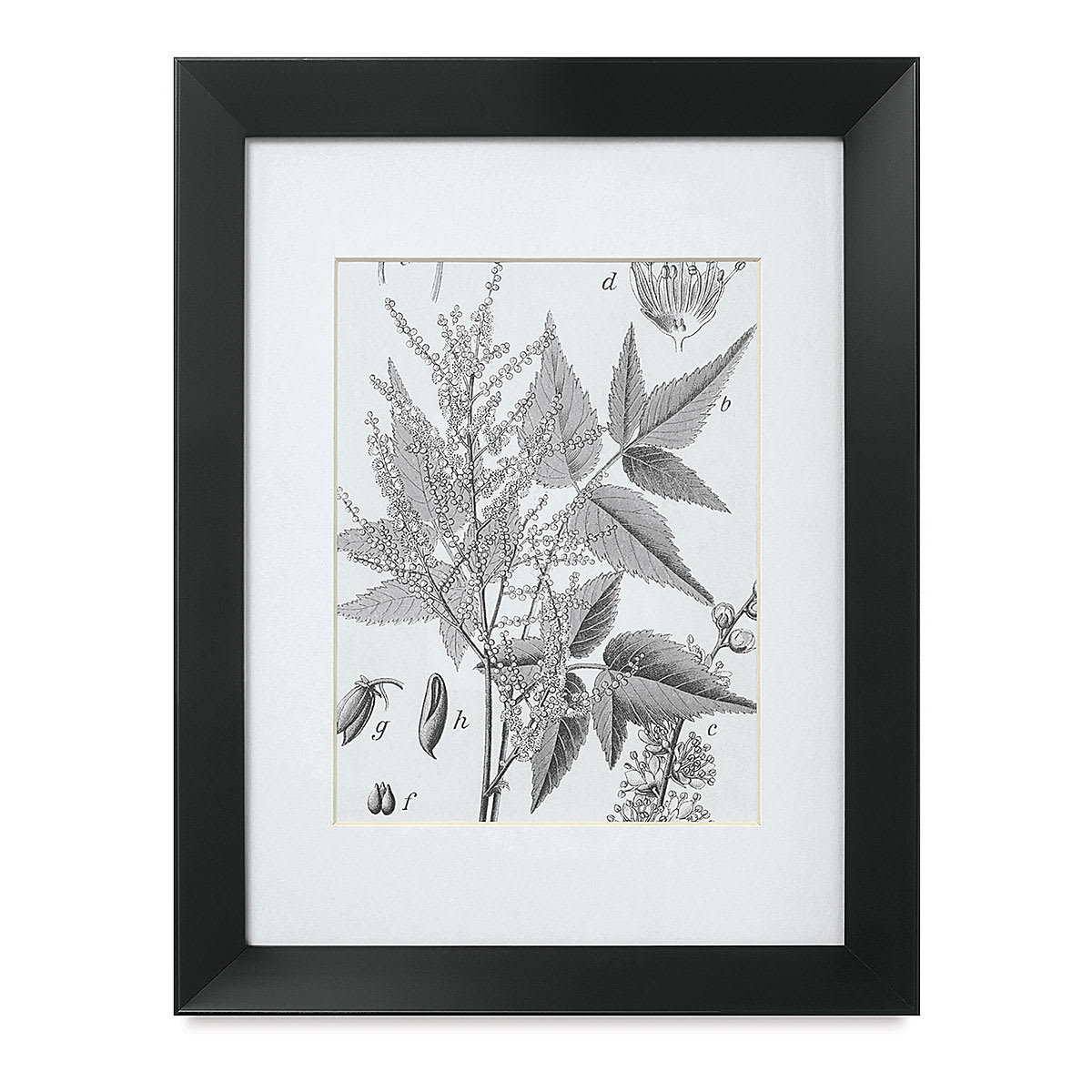 Blick Tempo Frame
