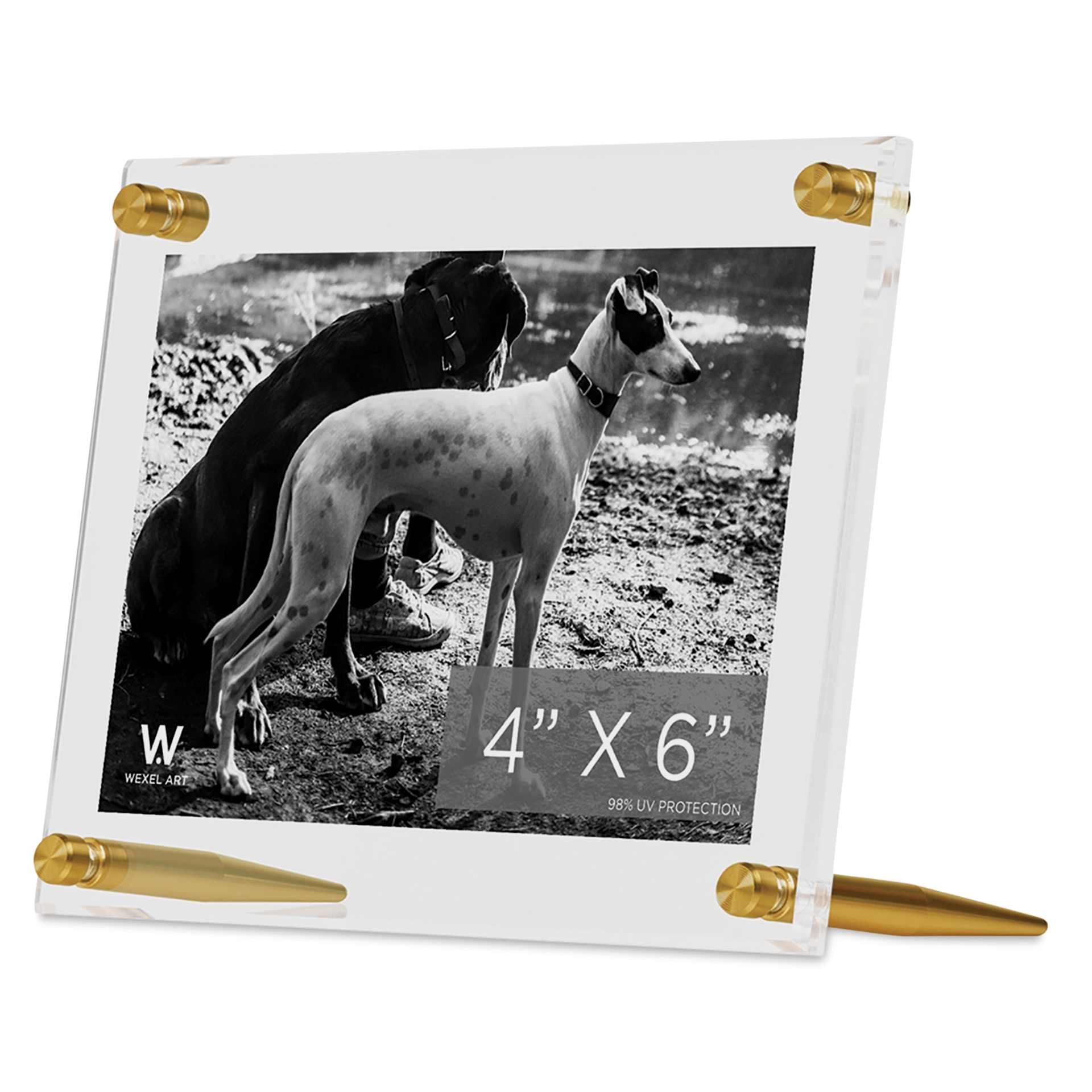 Wexel Art Acrylic Panel Frame - Tabletop, Gold Hardware, 4" x 6"