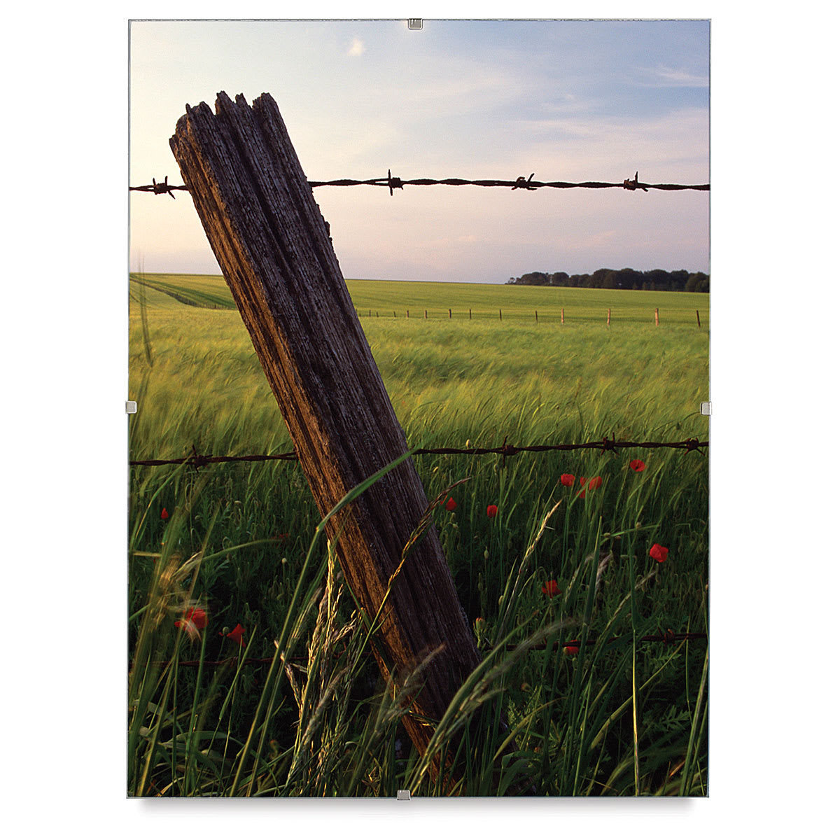 MCS Clip Frames - Picture of rural field in Clip frame showing tiny chrome clips