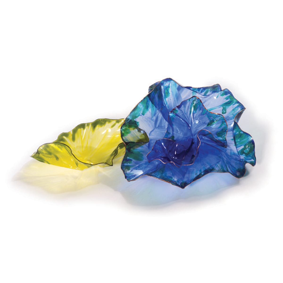 classroom chihuly