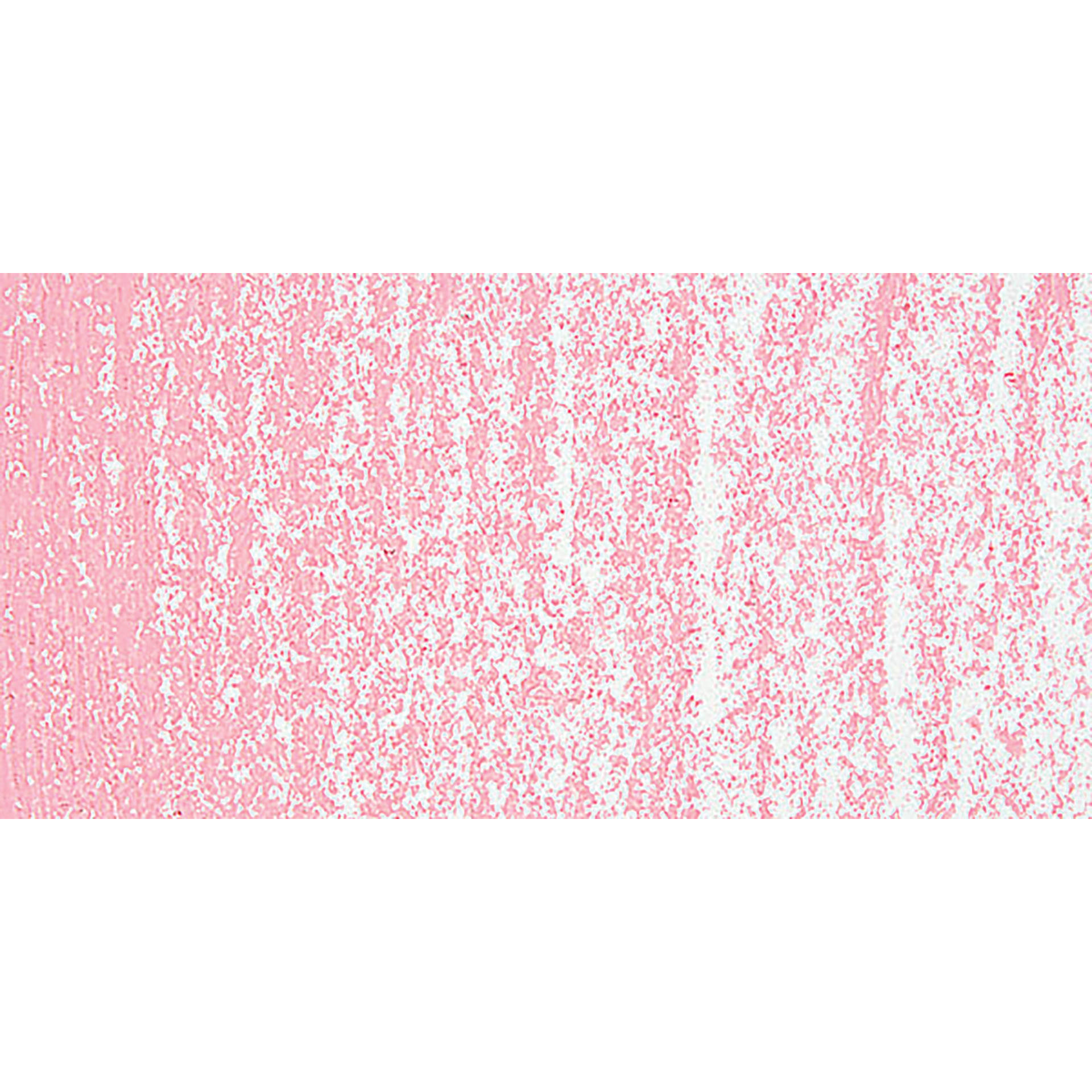 Holbein Artists’ Oil Pastel - Permanent Red 5 swatch
