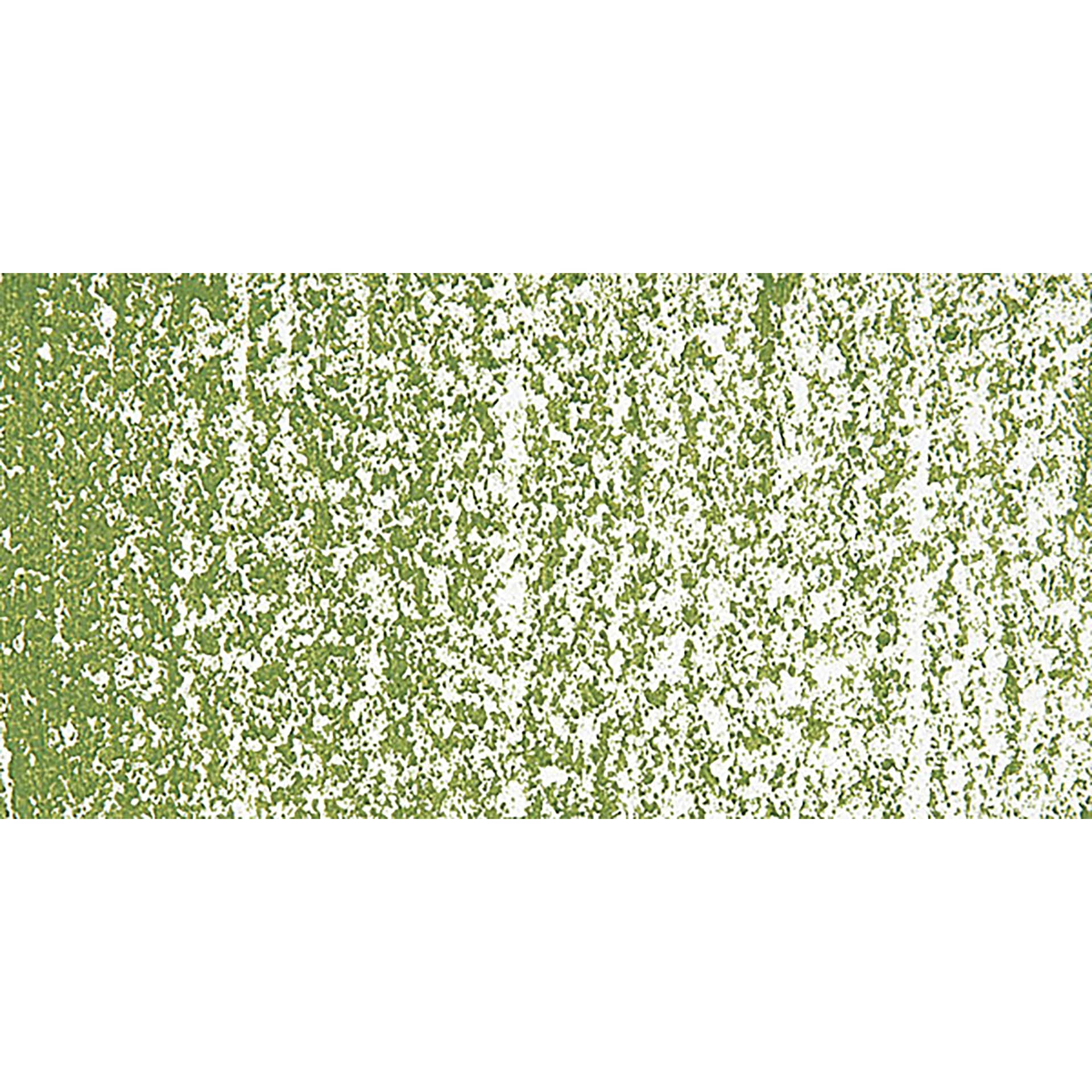 Holbein Artists’ Oil Pastel - Olive Green 1 swatch