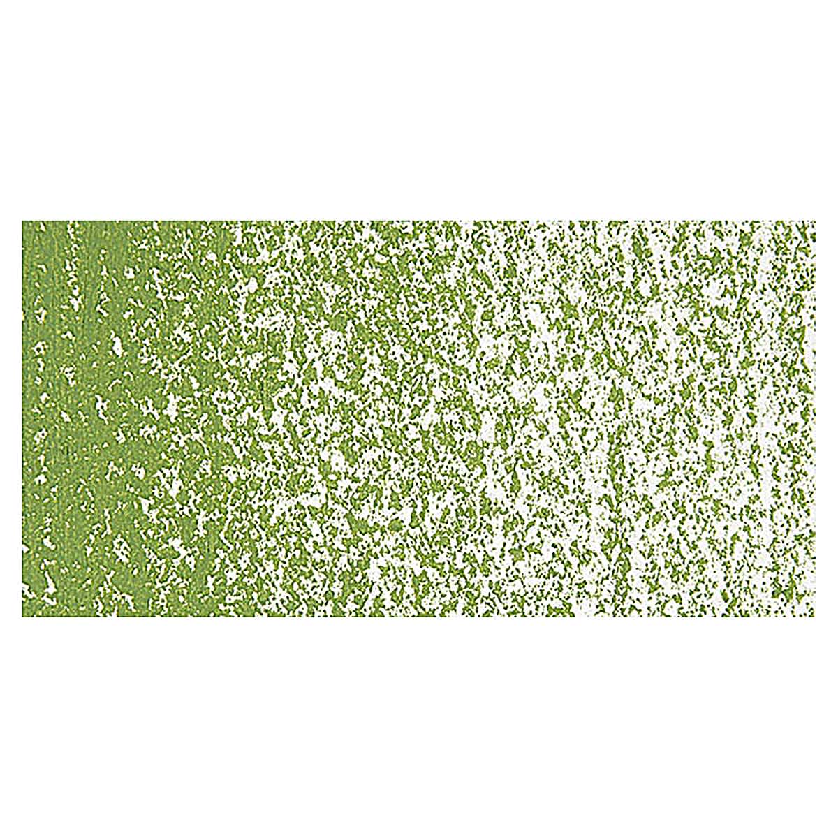 Holbein Artists' Oil Pastel - Oxide of Olive 1 swatch