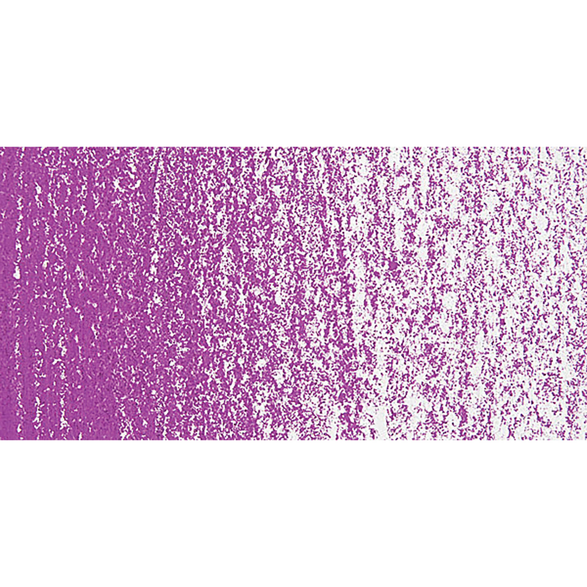 Sennelier Soft Pastel - Madder Violet 310 swatch