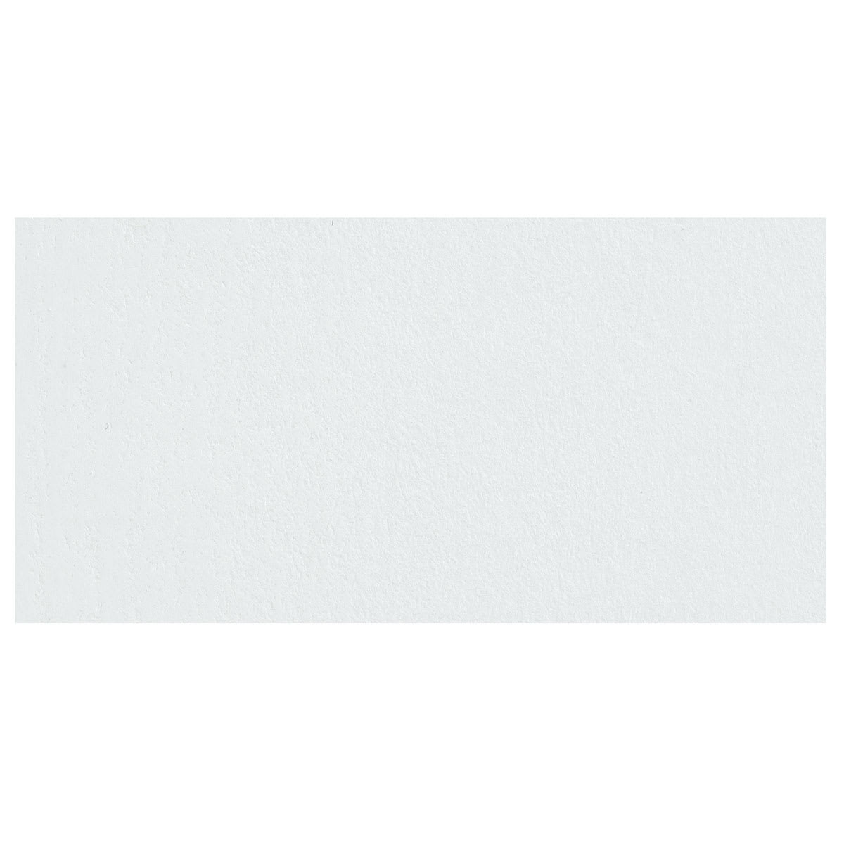 Caran d'Ache Neocolor II Aquarelle Artists' Pastel - White swatch