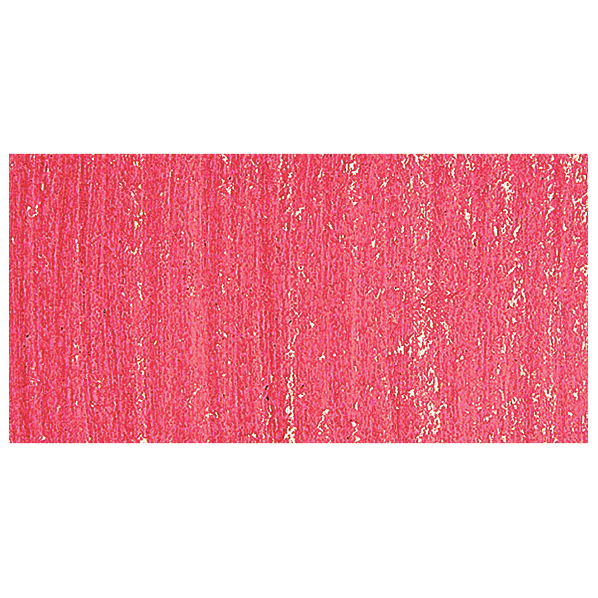Townsend Artists' Soft Form Pastel - Tuscan Red (Light) swatch