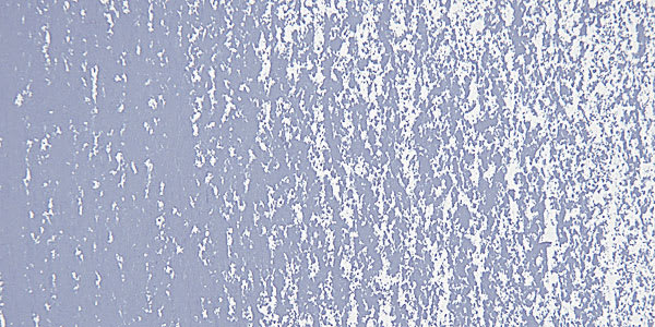 Schmincke Soft Pastel - Gray Blue H swatch