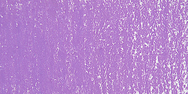 Schmincke Soft Pastel - Manganese Violet H swatch