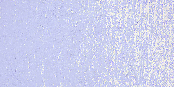 Schmincke Soft Pastel - Ultramarine Deep M swatch