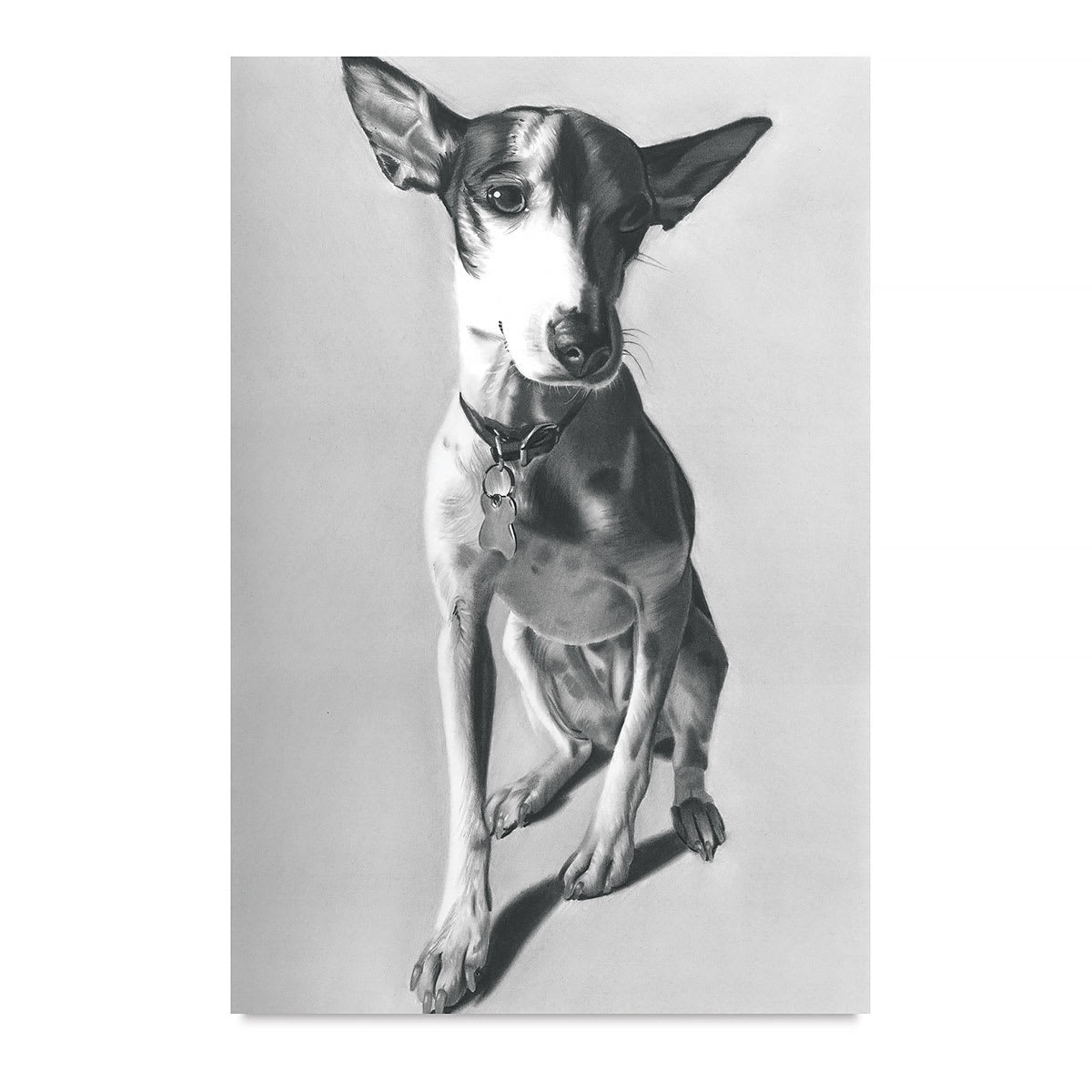 Derwent Graphic Pencils - Drawing of Dog Made with Pencils