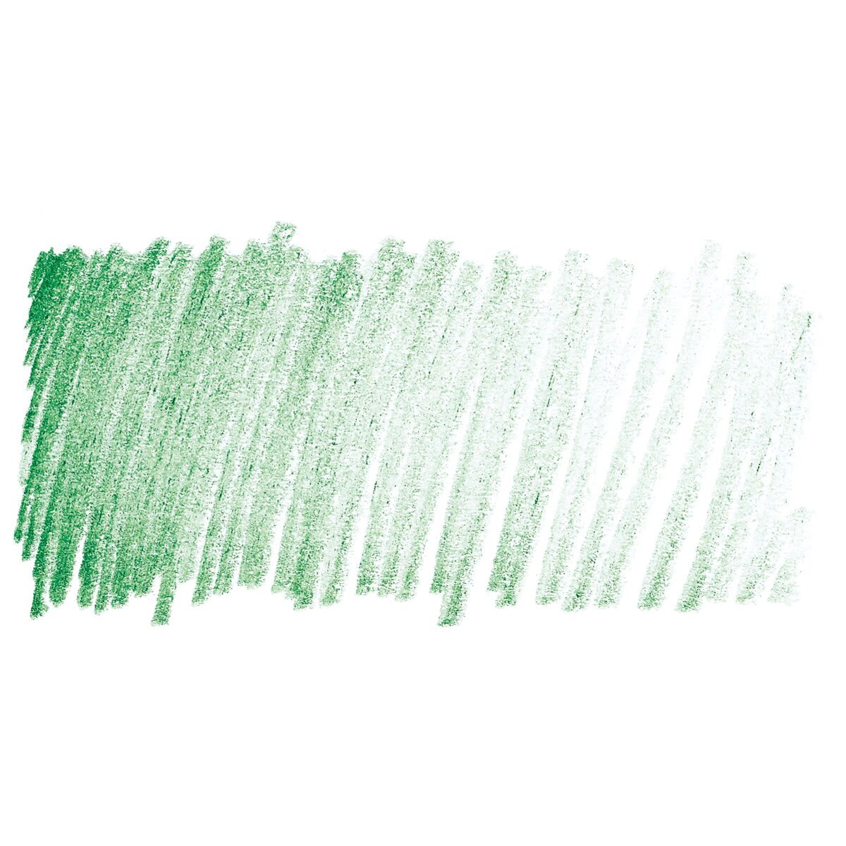 Derwent Studio Colored Pencil - Sap Green swatch