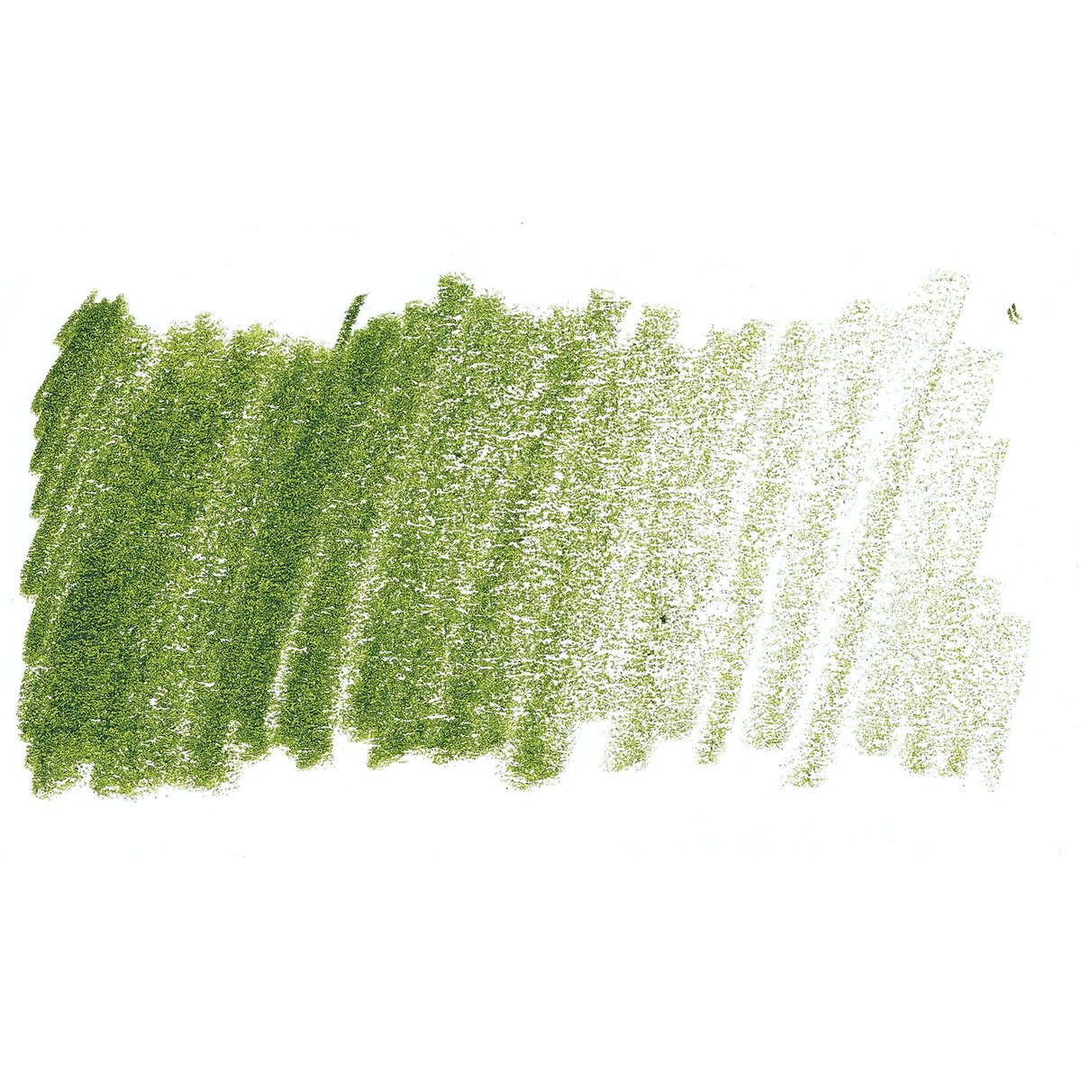 Prismacolor Premier Colored Pencil - Kelp Green swatch