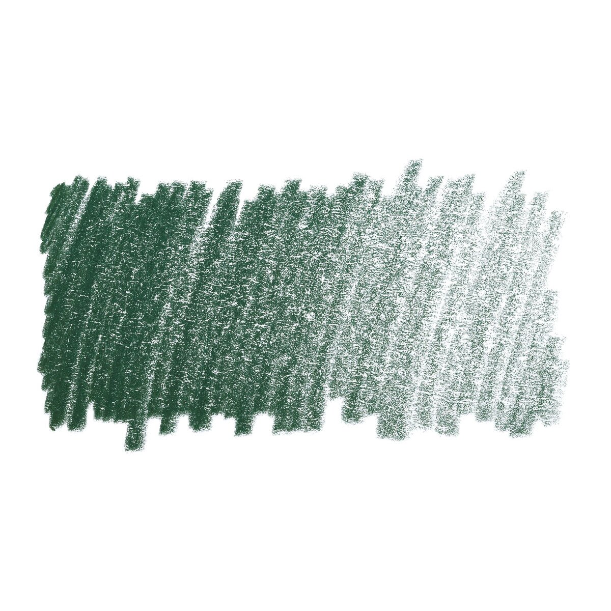 Faber-Castell Polychromos Pencil - Hooker's Green swatch