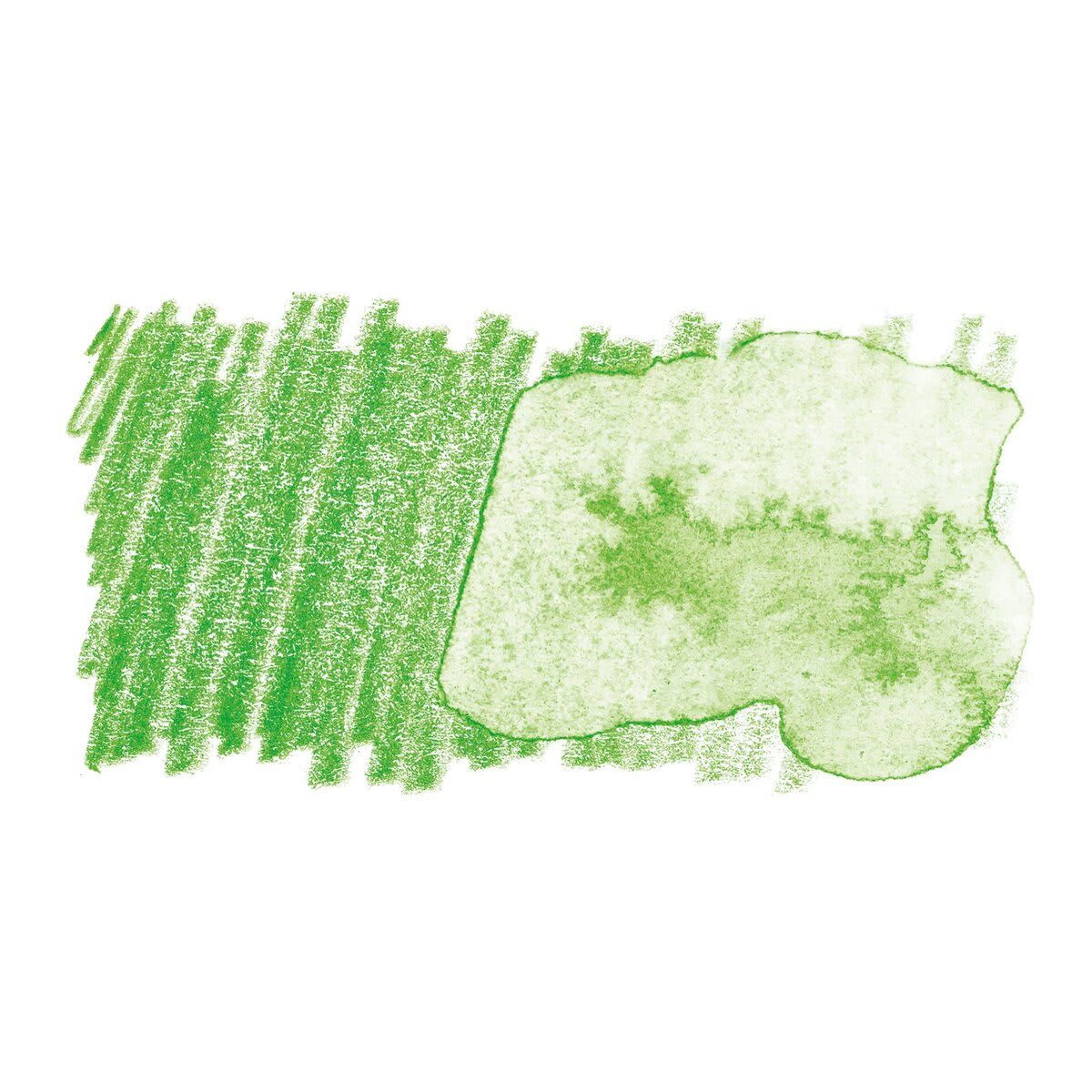 Faber-Castell Albrecht Durer Watercolor Pencil - Permanent Green swatch