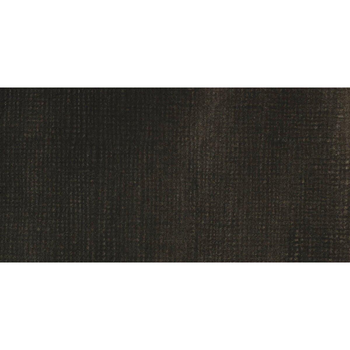 Liquitex Professional Acrylic Ink - Carbon Black swatch