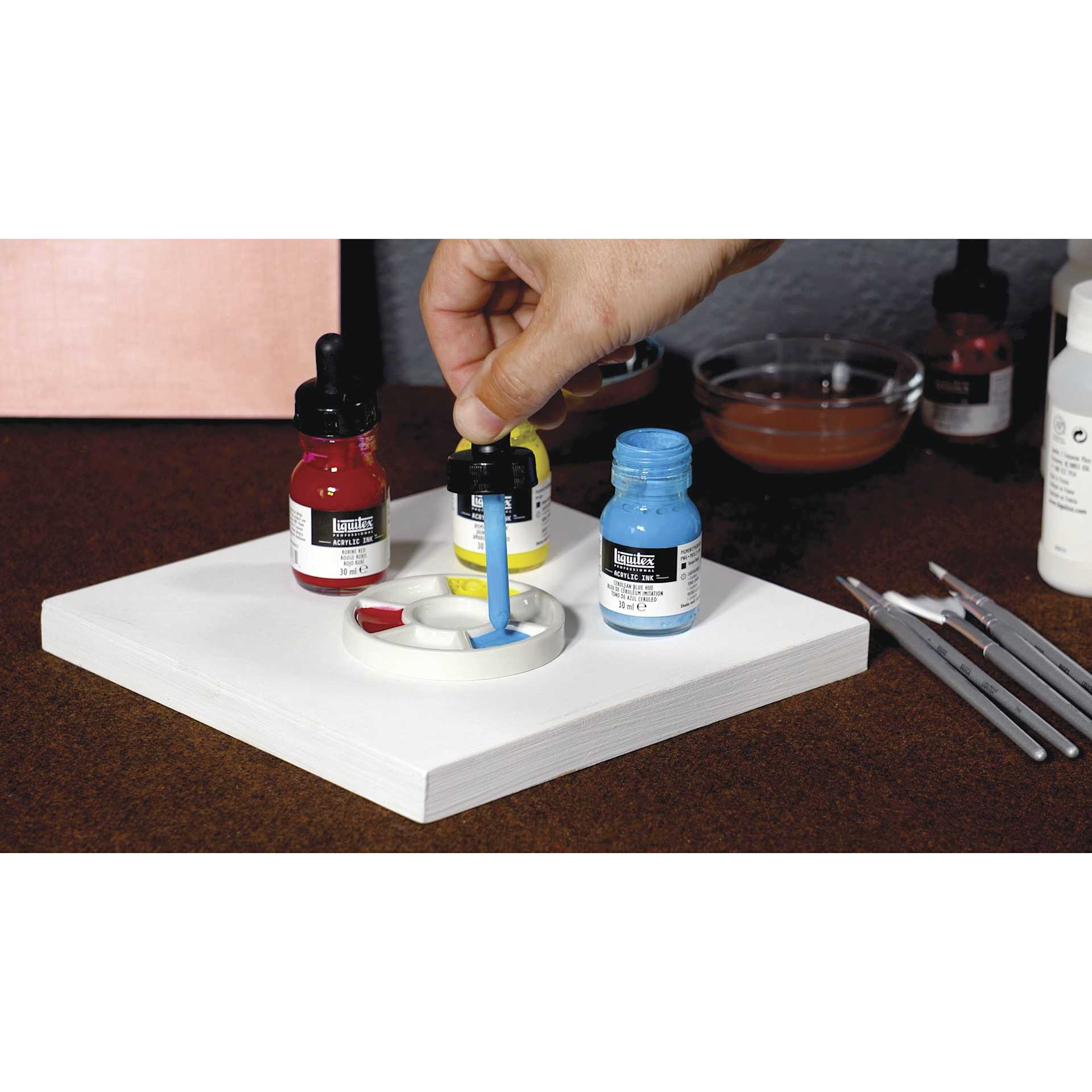 Liquitex Professional Acrylic Inks and Sets, inks, palette, and canvas