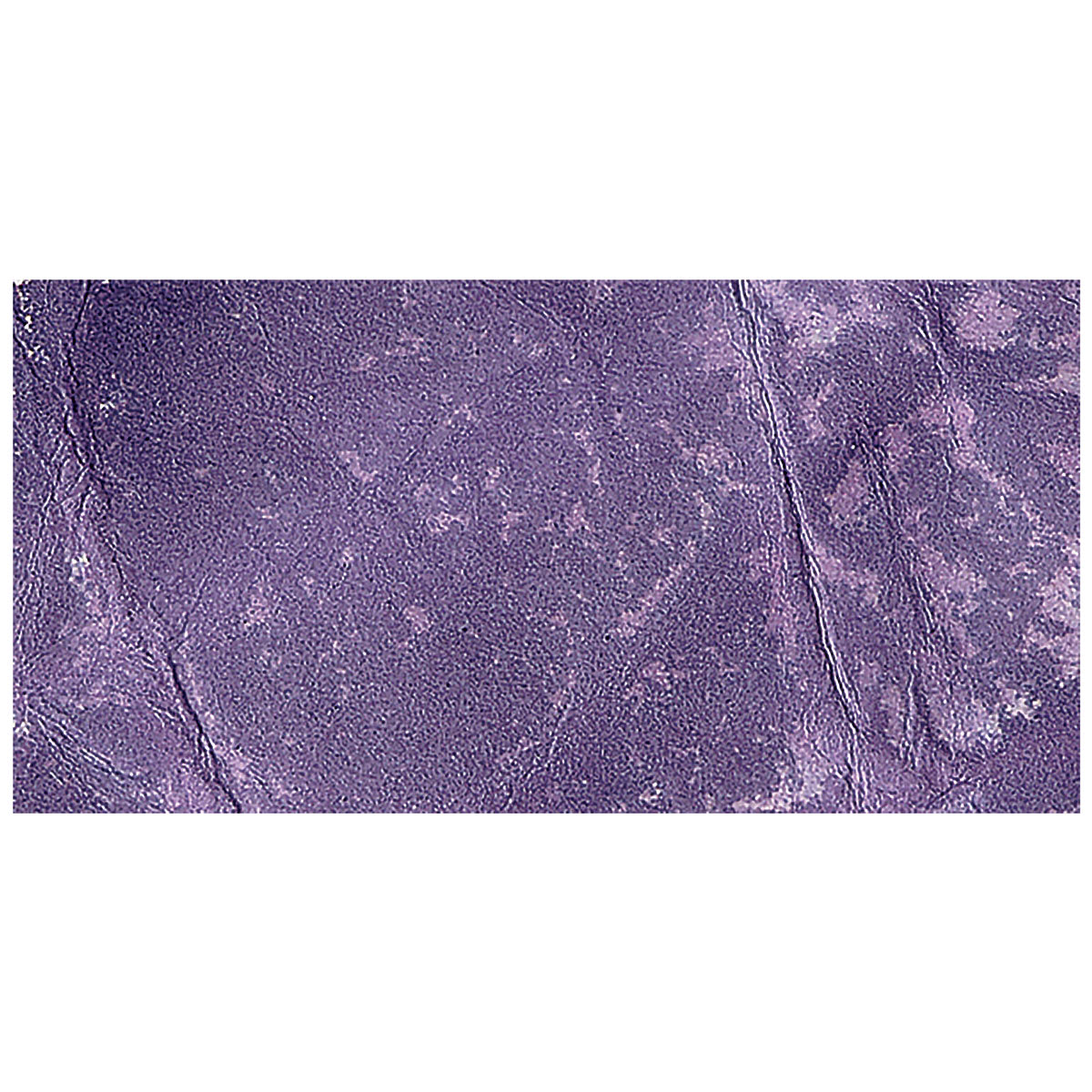 Ranger Tim Holtz Distress Ink Pad - Dusty Concord swatch