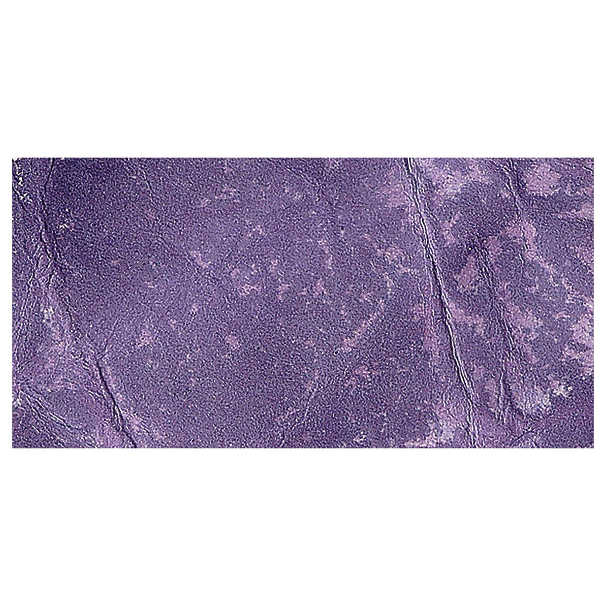 Ranger Tim Holtz Distress Ink Pad Re-Inker - Dusty Concord swatch