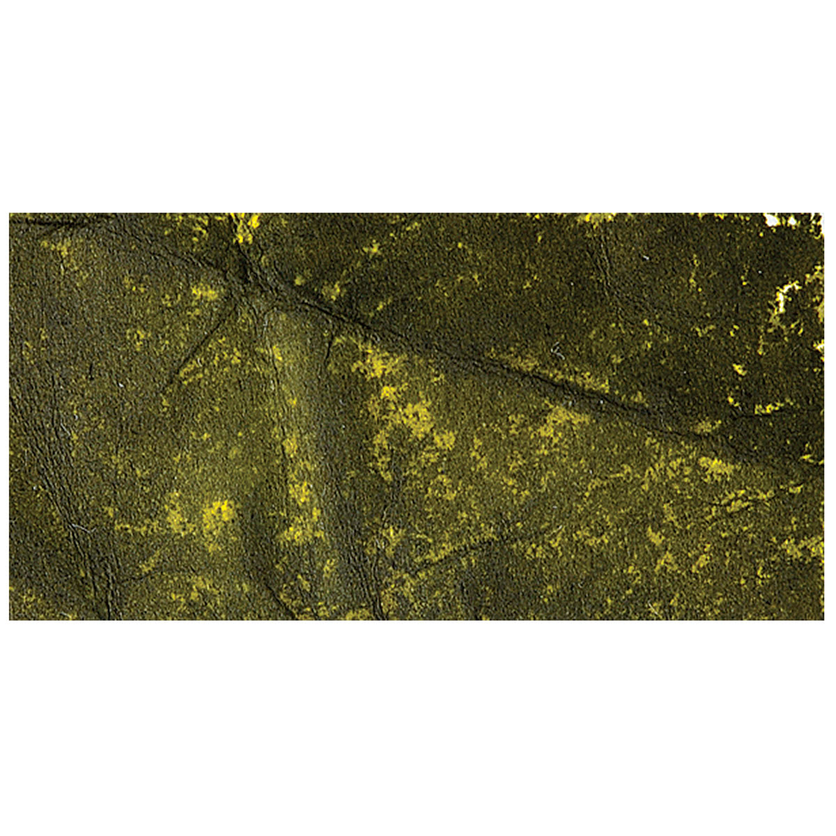 Ranger Tim Holtz Distress Ink Pad Re-Inker - Forest Moss swatch
