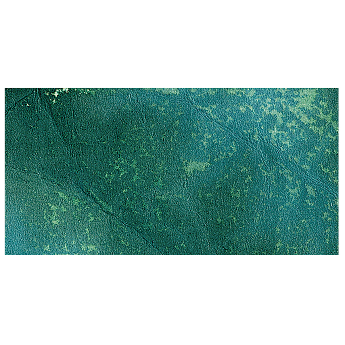 Ranger Tim Holtz Distress Ink Pad Re-Inker - Pine Needles swatch