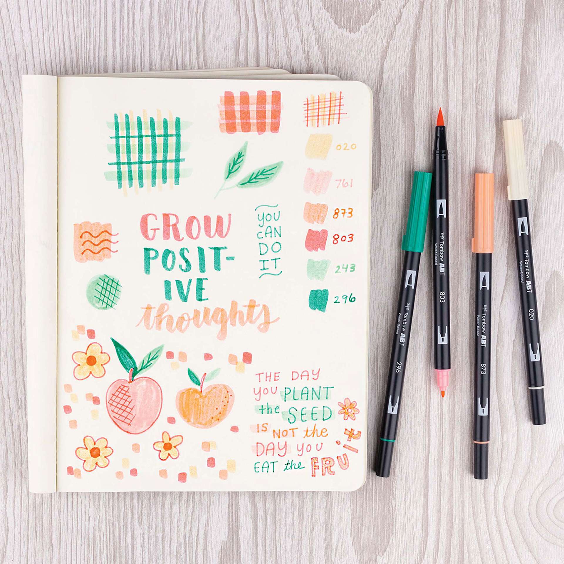 Tombow Dual Brush Pens - Just Peachy, Set of 6, affirmations written in notebook