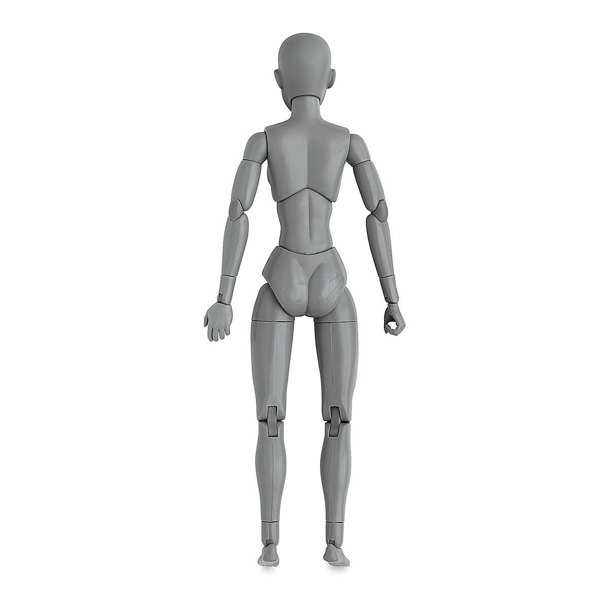 Anatomical Model, Gray