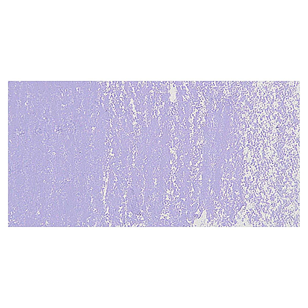 Great American Art Works Pastel - Cassius 3 swatch