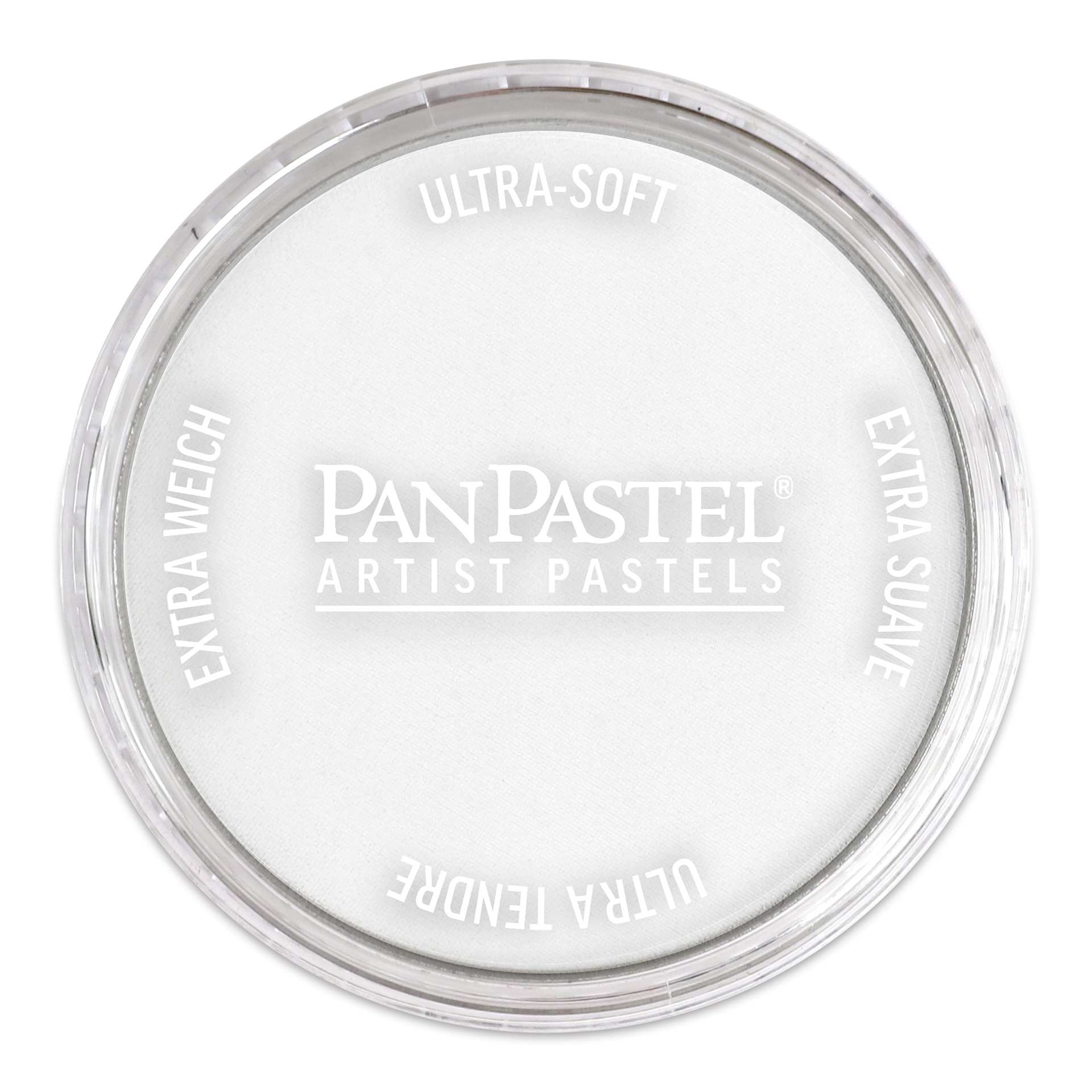 PanPastel Artists’ Painting Pastel - Titanium White, 100.5