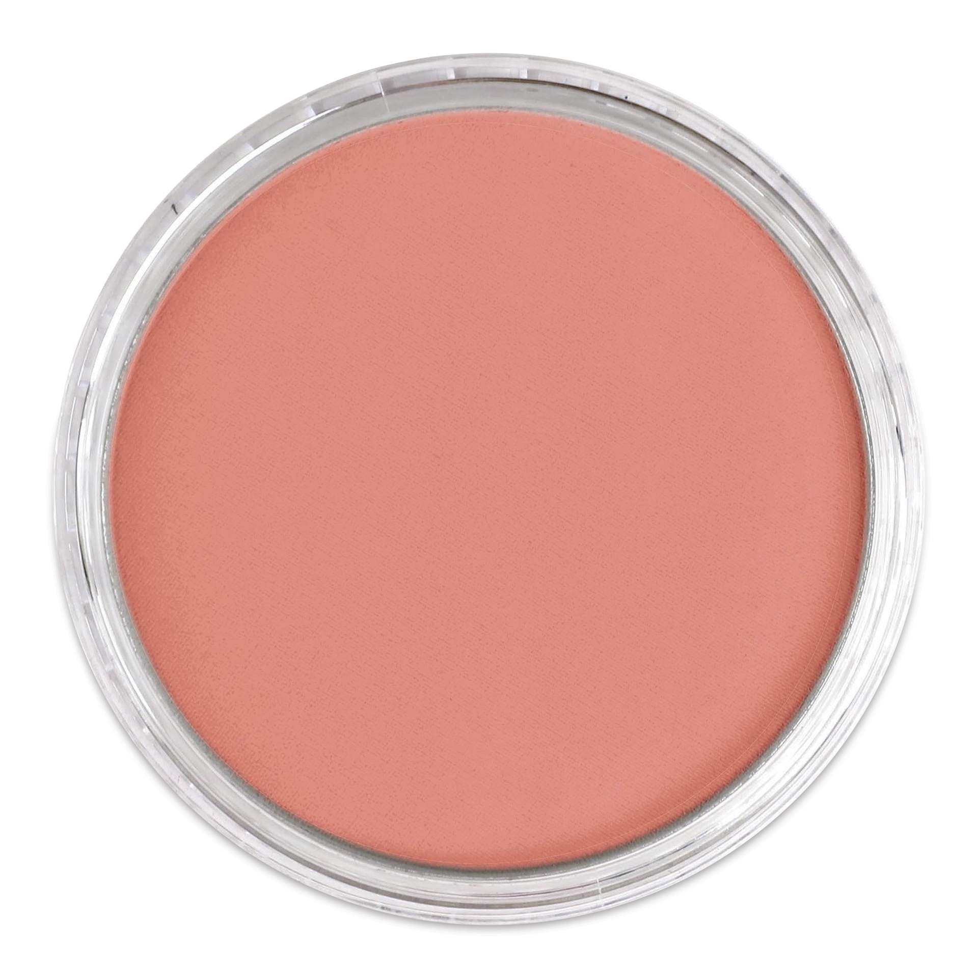 PanPastel Artist Painting Pastel - Vermilion Medium, 310.6, lid off