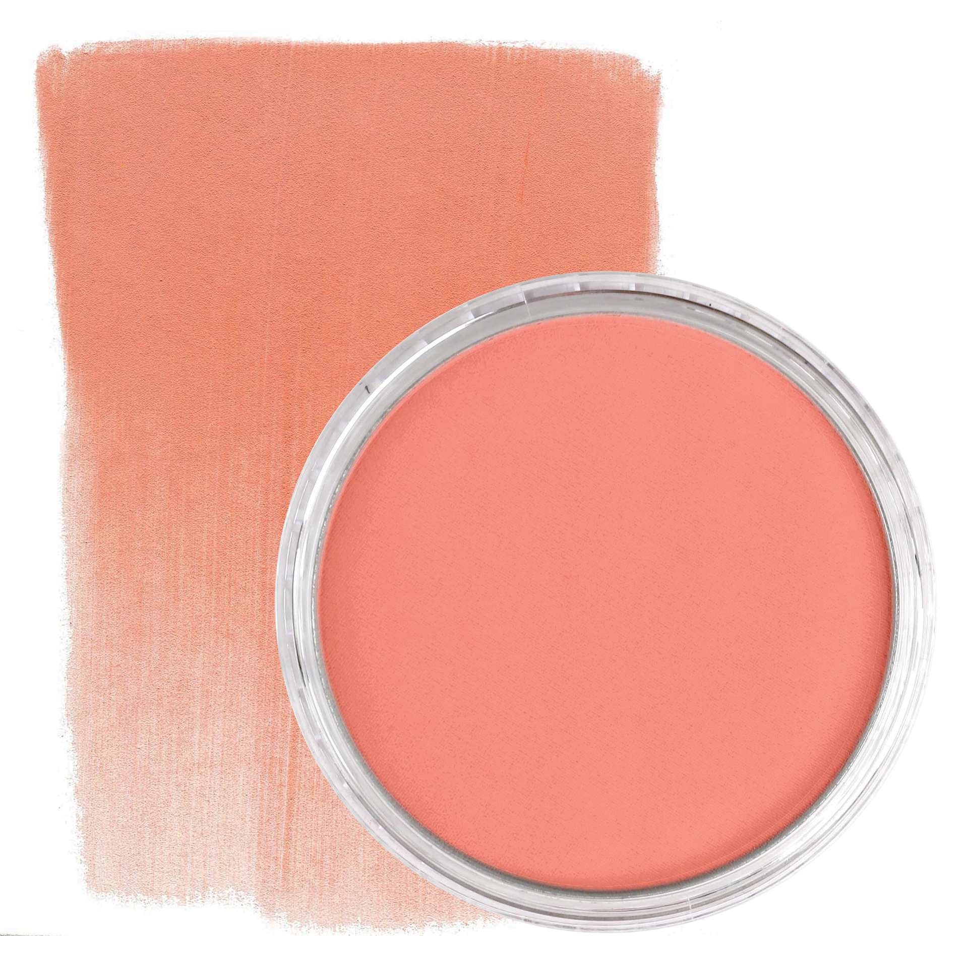 PanPastel Artist Painting Pastel - Vermilion Medium, 310.6, pan and swatch
