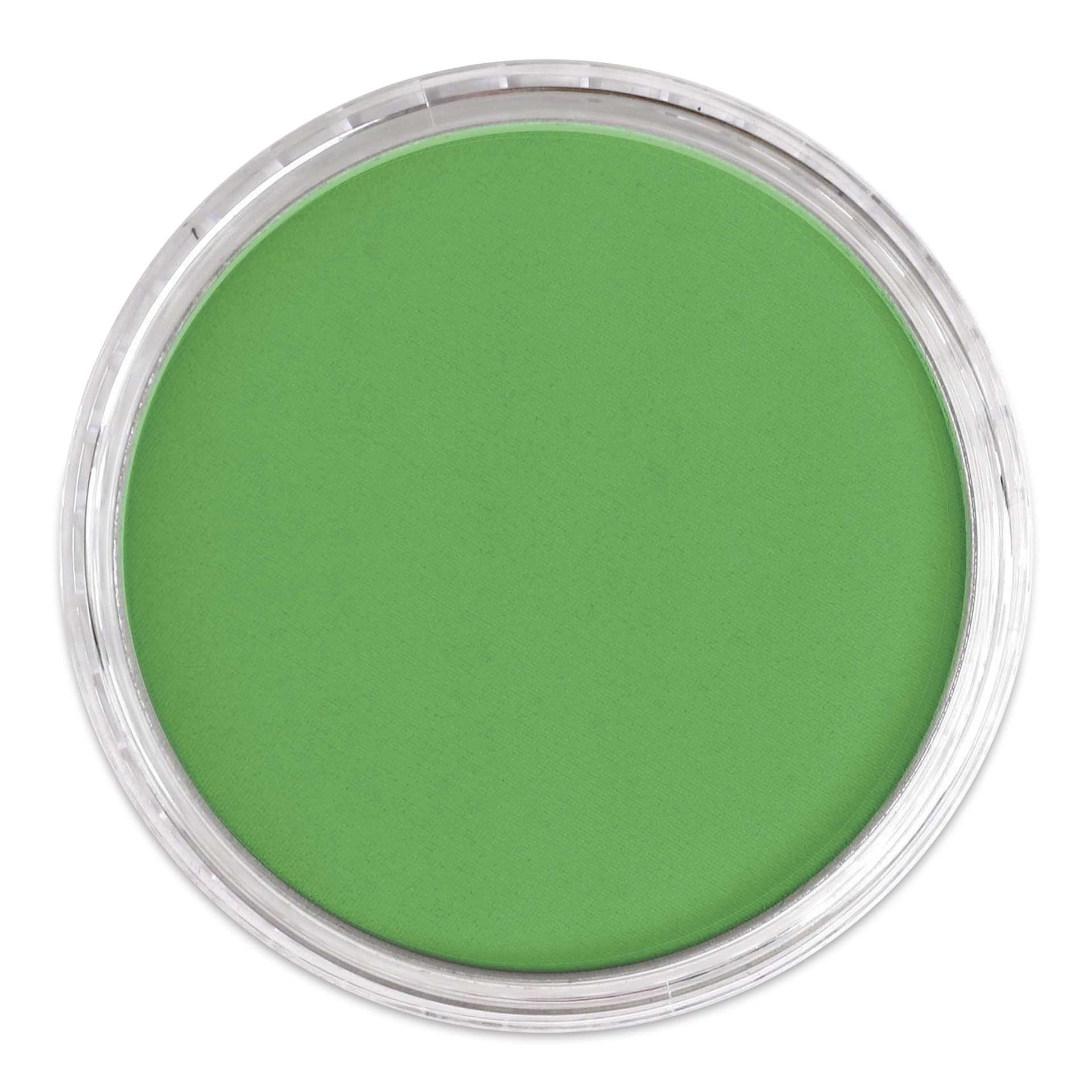 PanPastel Artist Painting Pastel - Blue Green, 670.5, no lid
