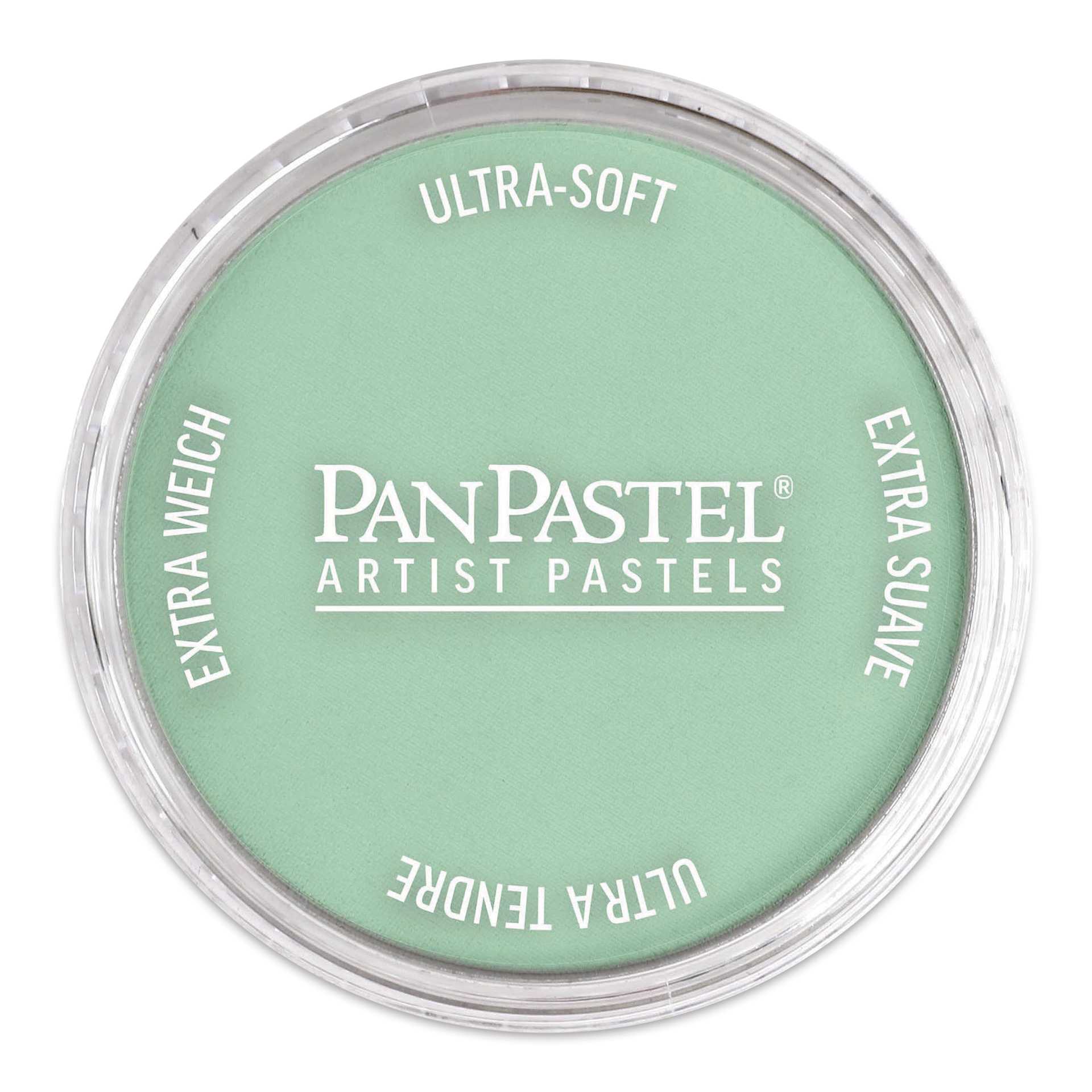 PanPastel Artist Painting Pastel - Permanent Green Light, 640.7