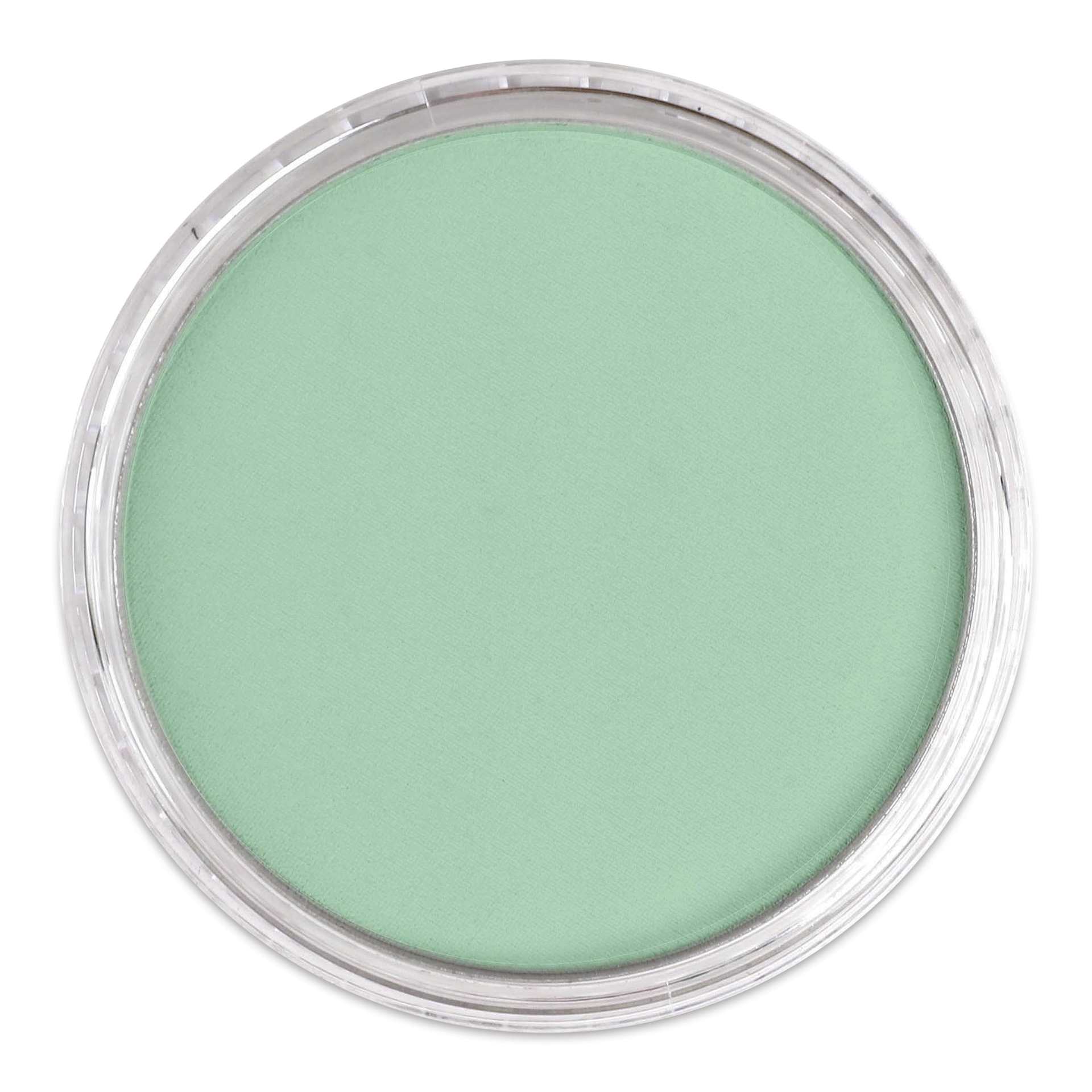 PanPastel Artist Painting Pastel - Permanent Green Light, 640.7, lid off