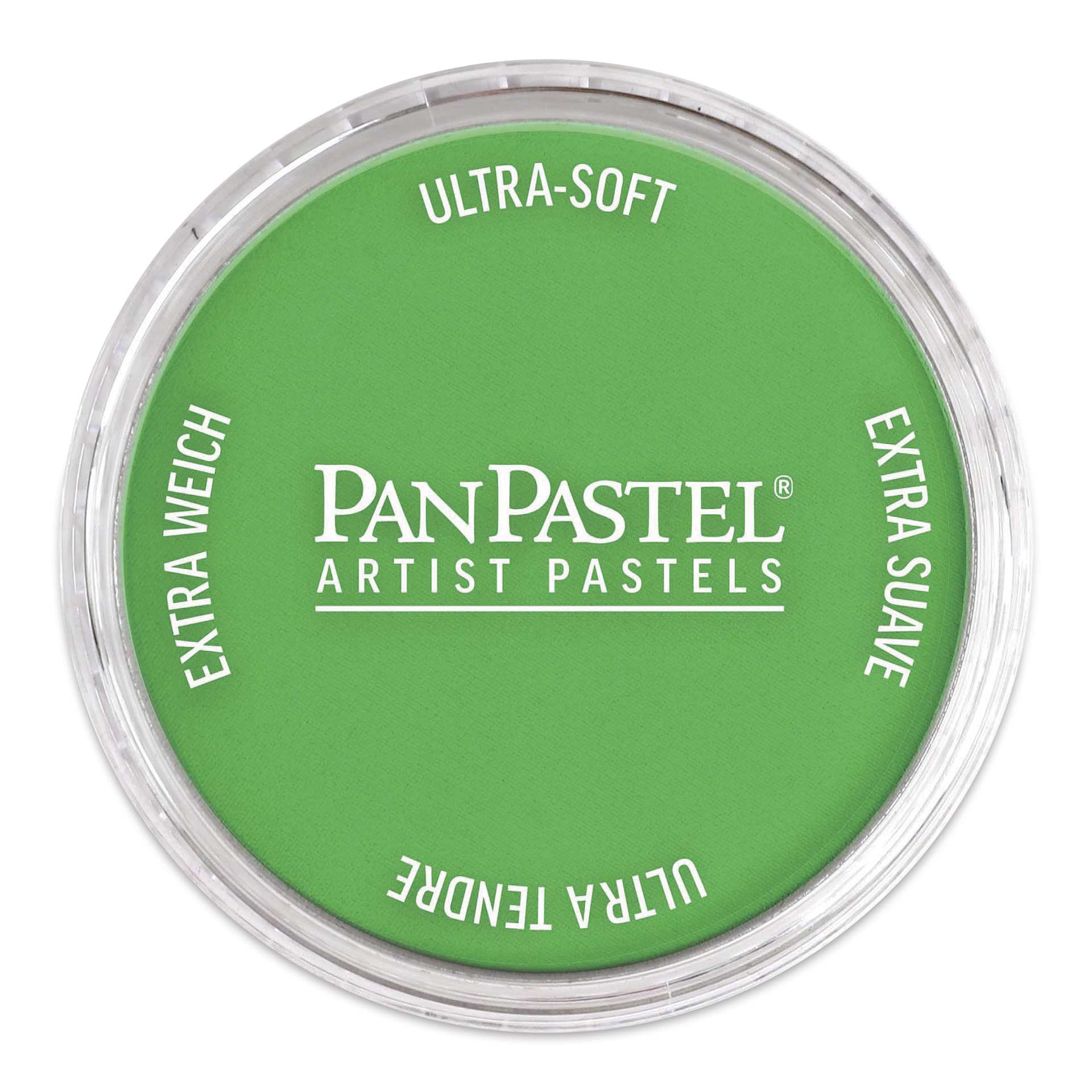 PanPastel Artists’ Painting Pastel - Permanent Green, 640.5