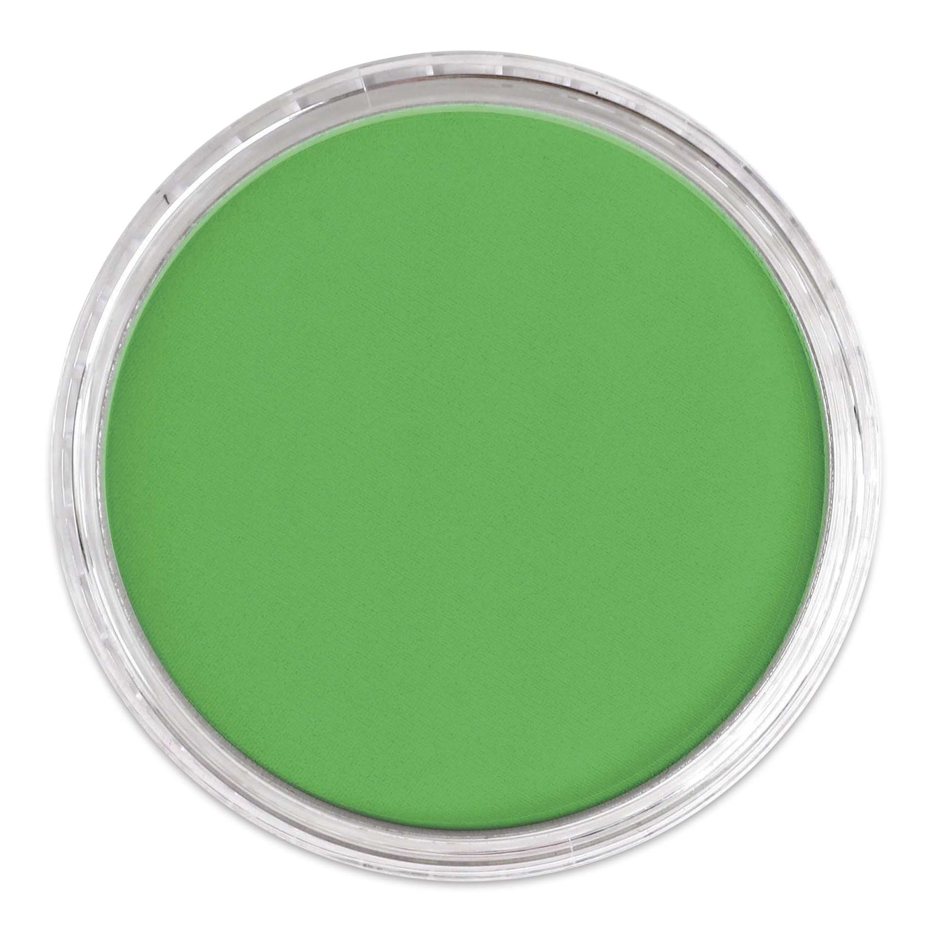 PanPastel Artists’ Painting Pastel - Permanent Green, 640.5, lid off