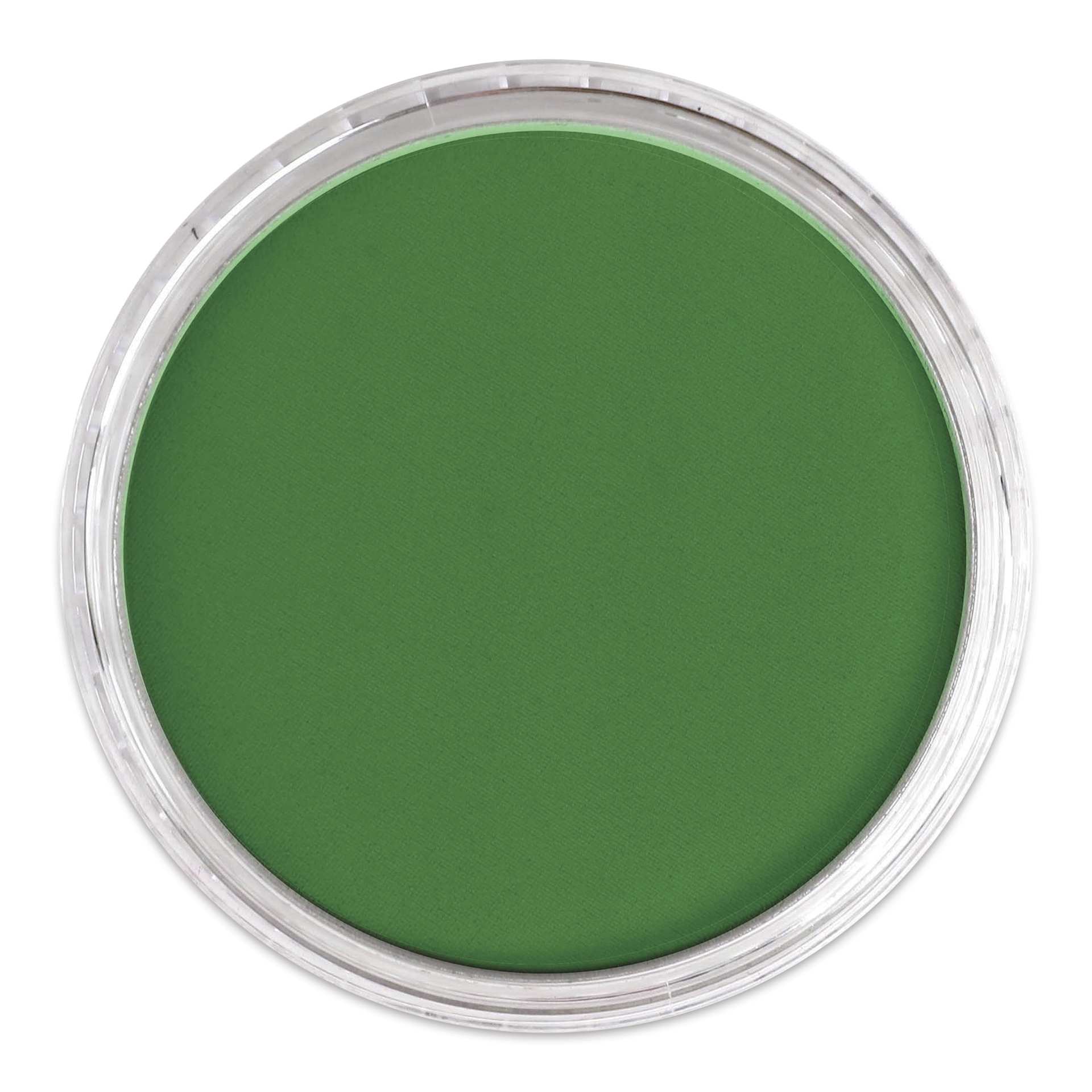 PanPastel Artists’ Painting Pastel - Permanent Green Shade, 640.3, lid off