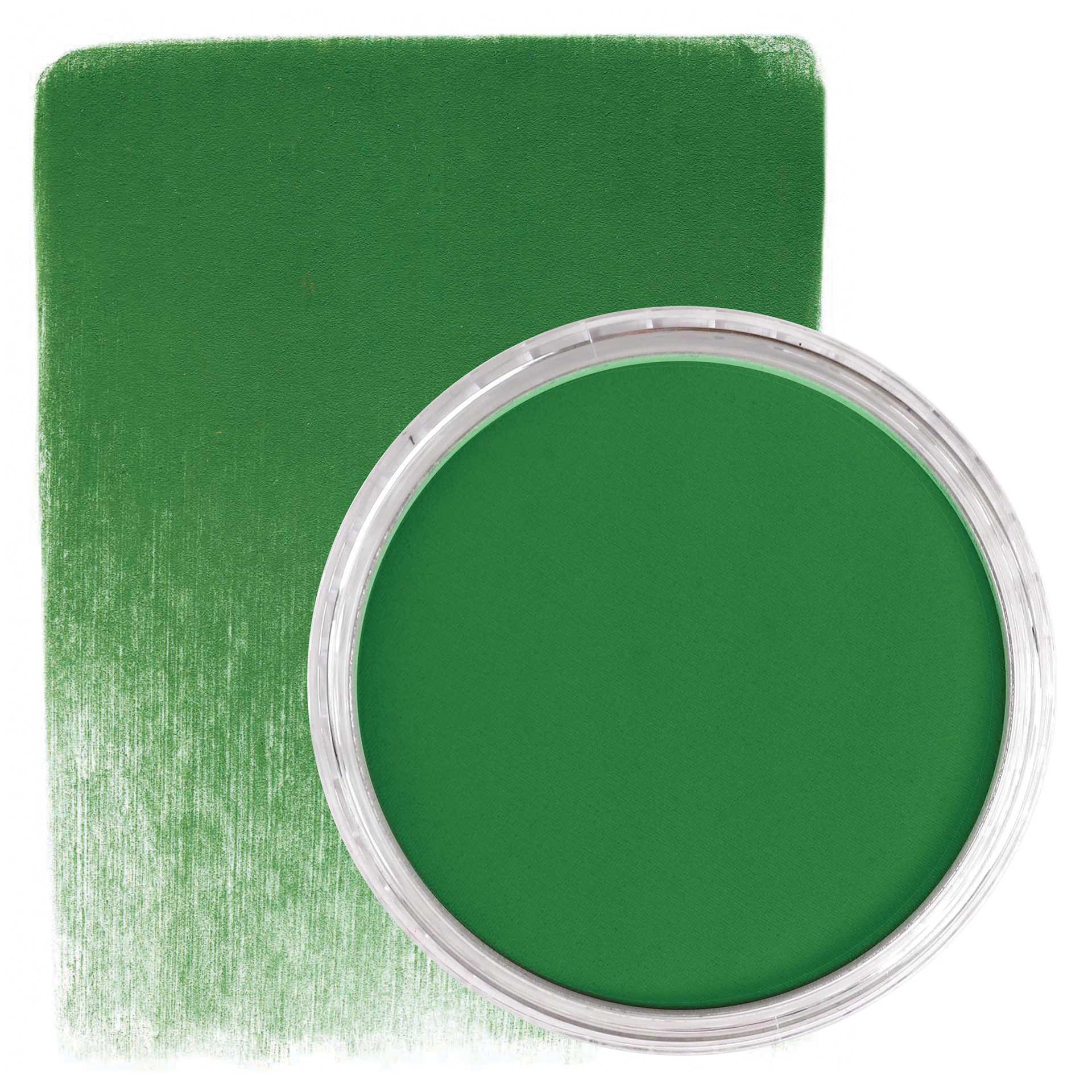PanPastel Artists’ Painting Pastel - Permanent Green Shade, 640.3, pan and swatch
