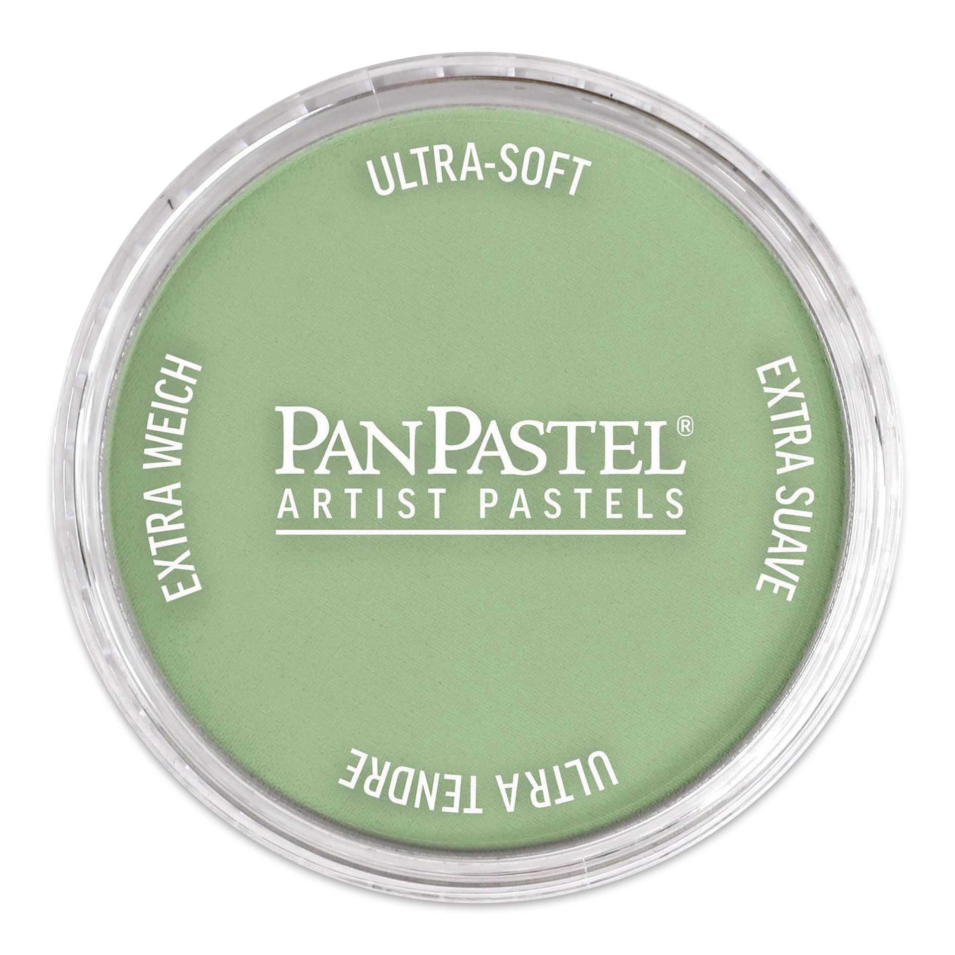 PanPastel Artist Painting Pastel - Chromium Oxide Green Light, 660.7, pan with lid on