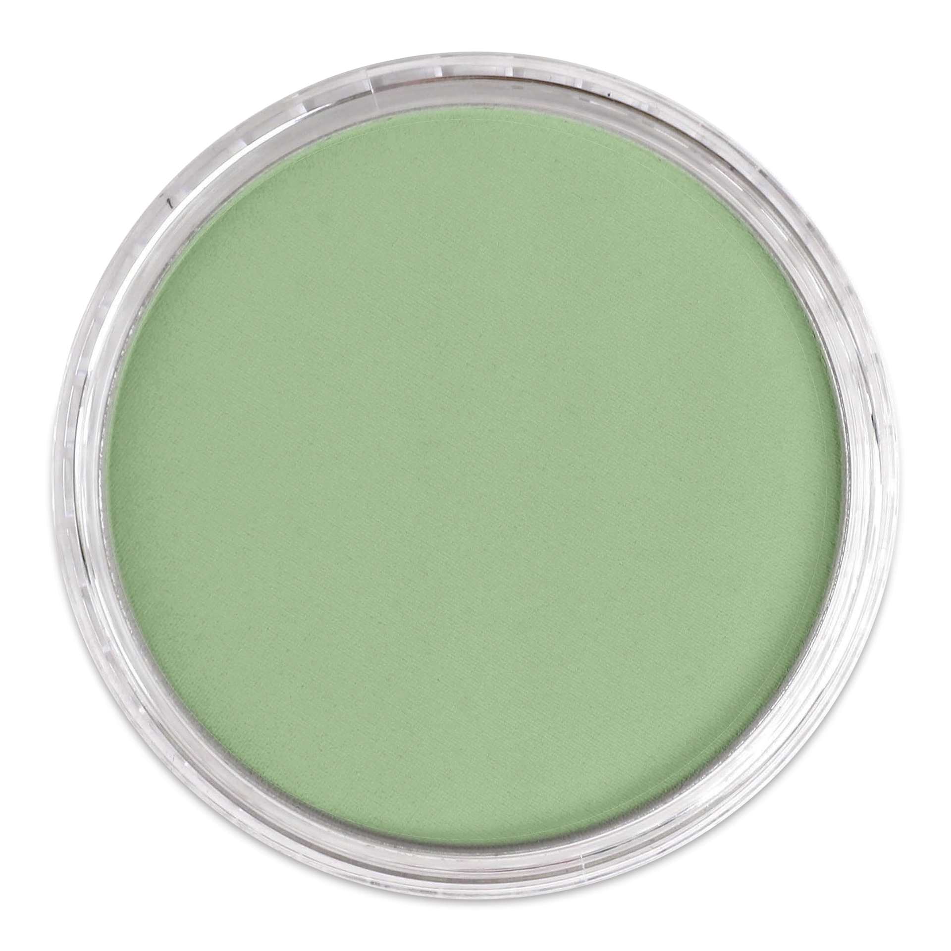 PanPastel Artist Painting Pastel - Chromium Oxide Green Light, 660.7, lid off