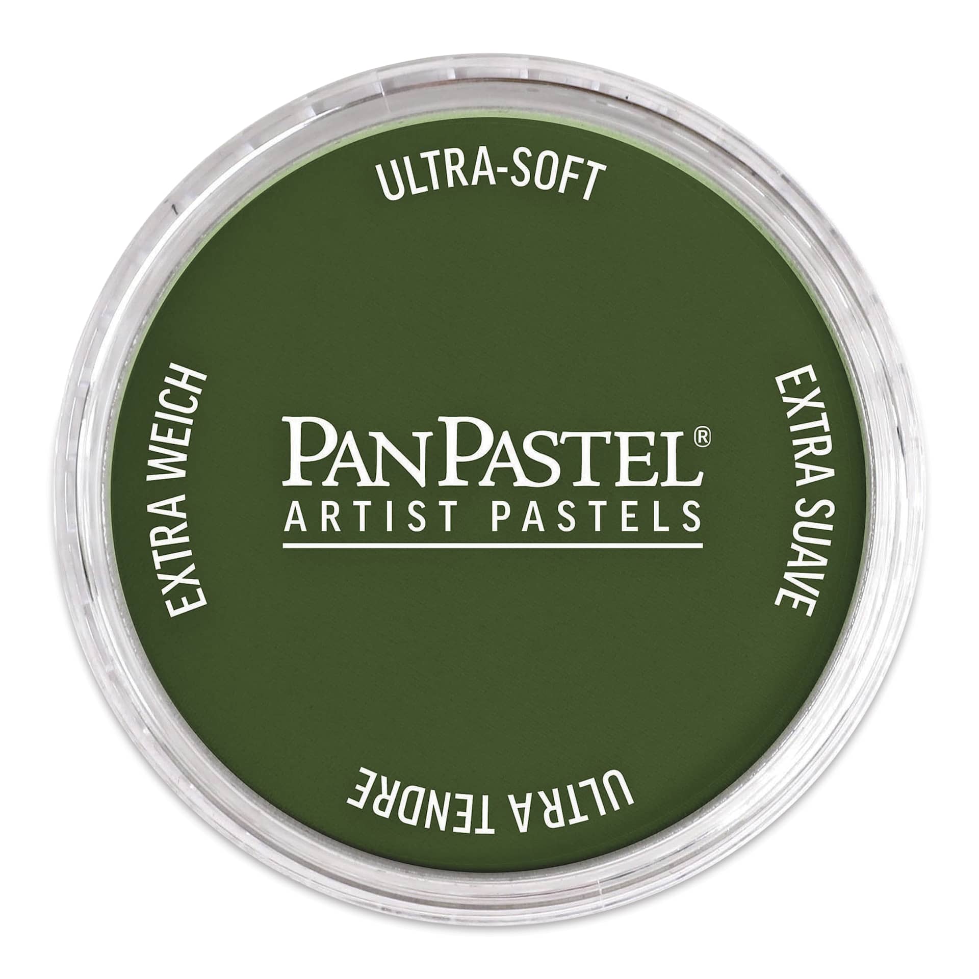 PanPastel Artists’ Painting Pastel - Chromium Oxide Green, 660.5, pan with lid on