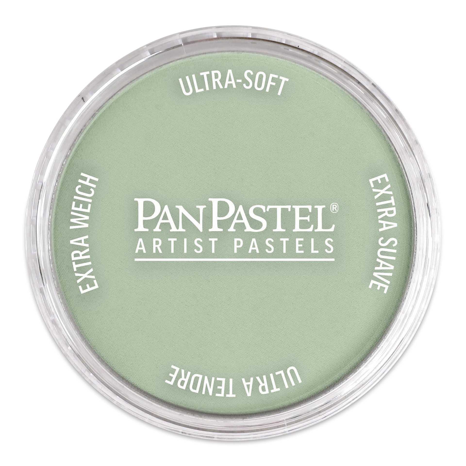 PanPastel Artists’ Painting Pastel - Chromium Oxide Green Tint, 660.8