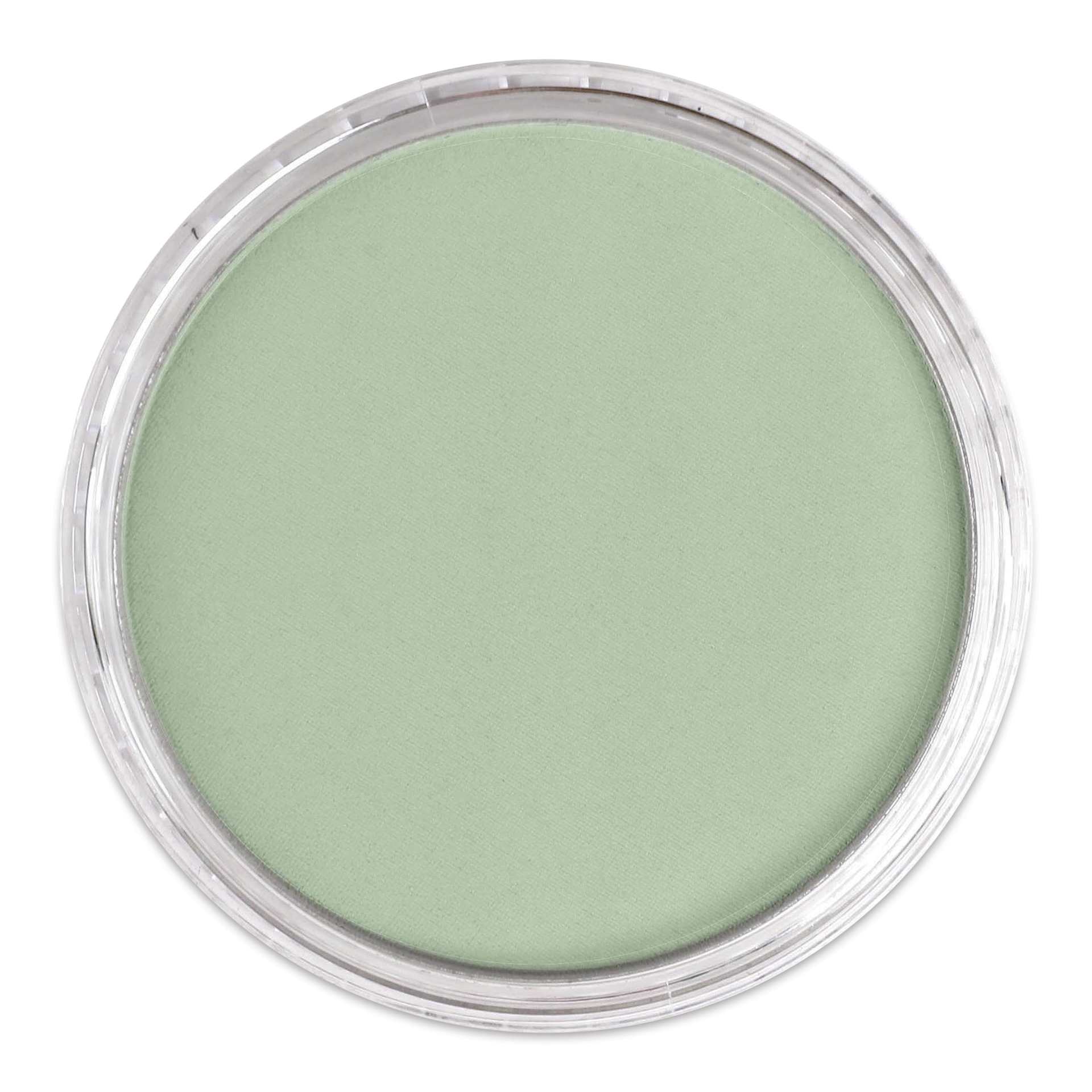 PanPastel Artists’ Painting Pastel - Chromium Oxide Green Tint, 660.8, lid off